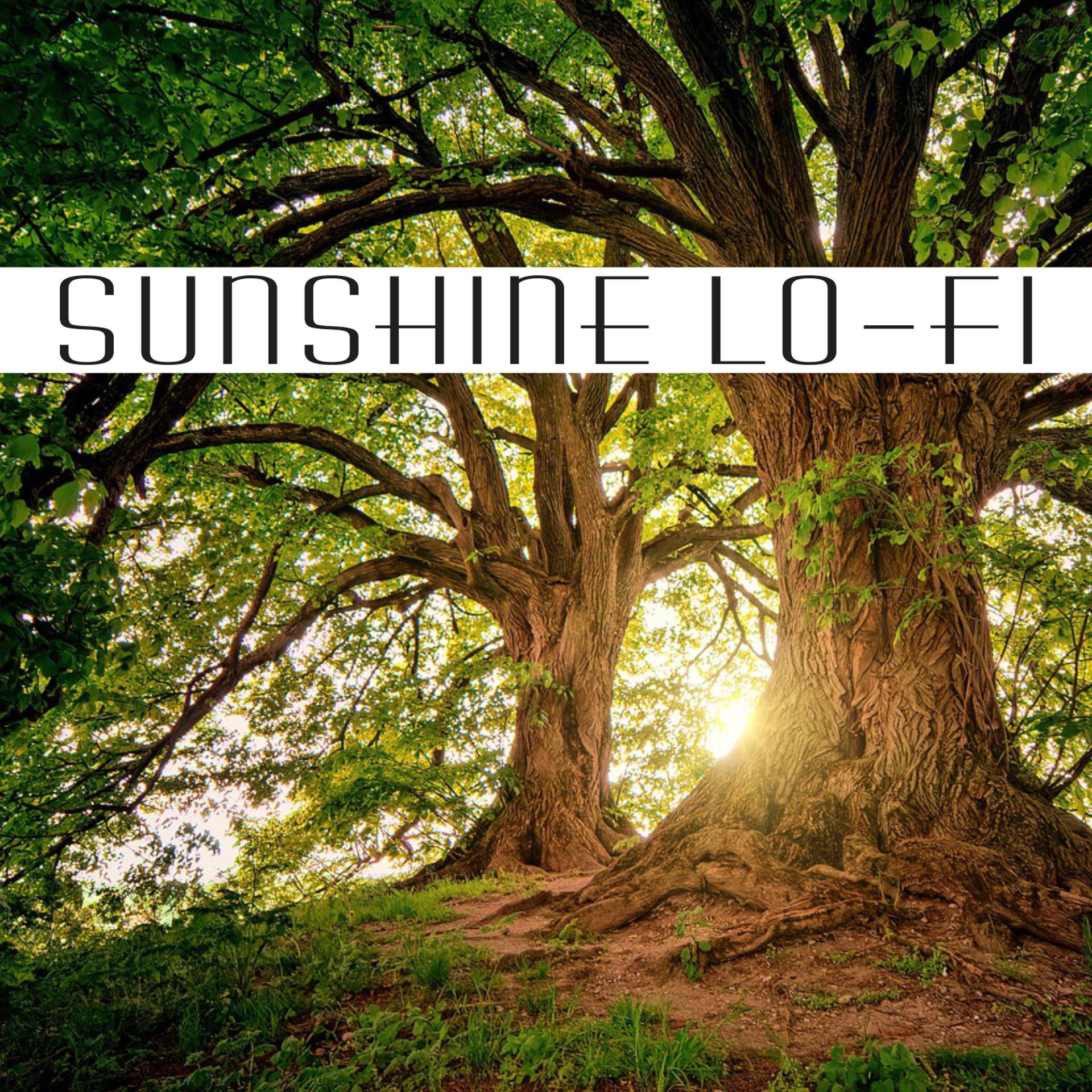 Постер альбома Sunshine Lo-Fi