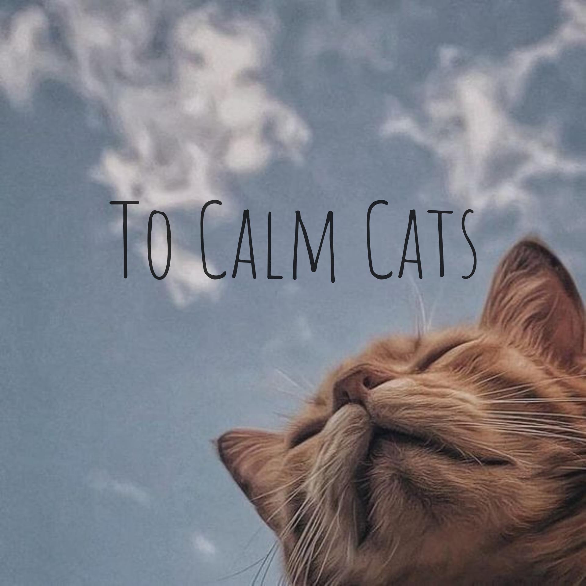 Постер альбома To Calm Cats