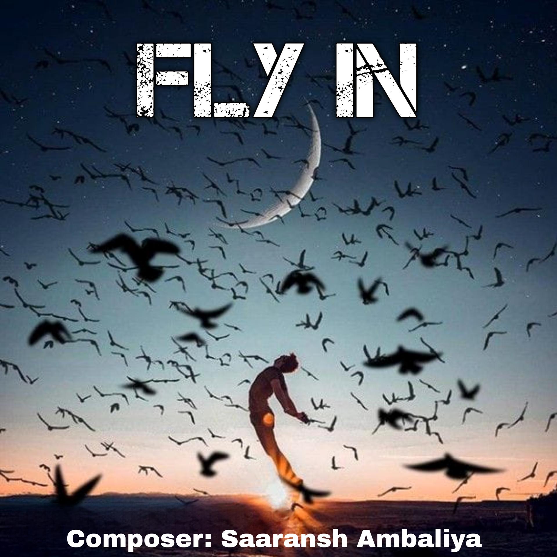 Постер альбома Fly In