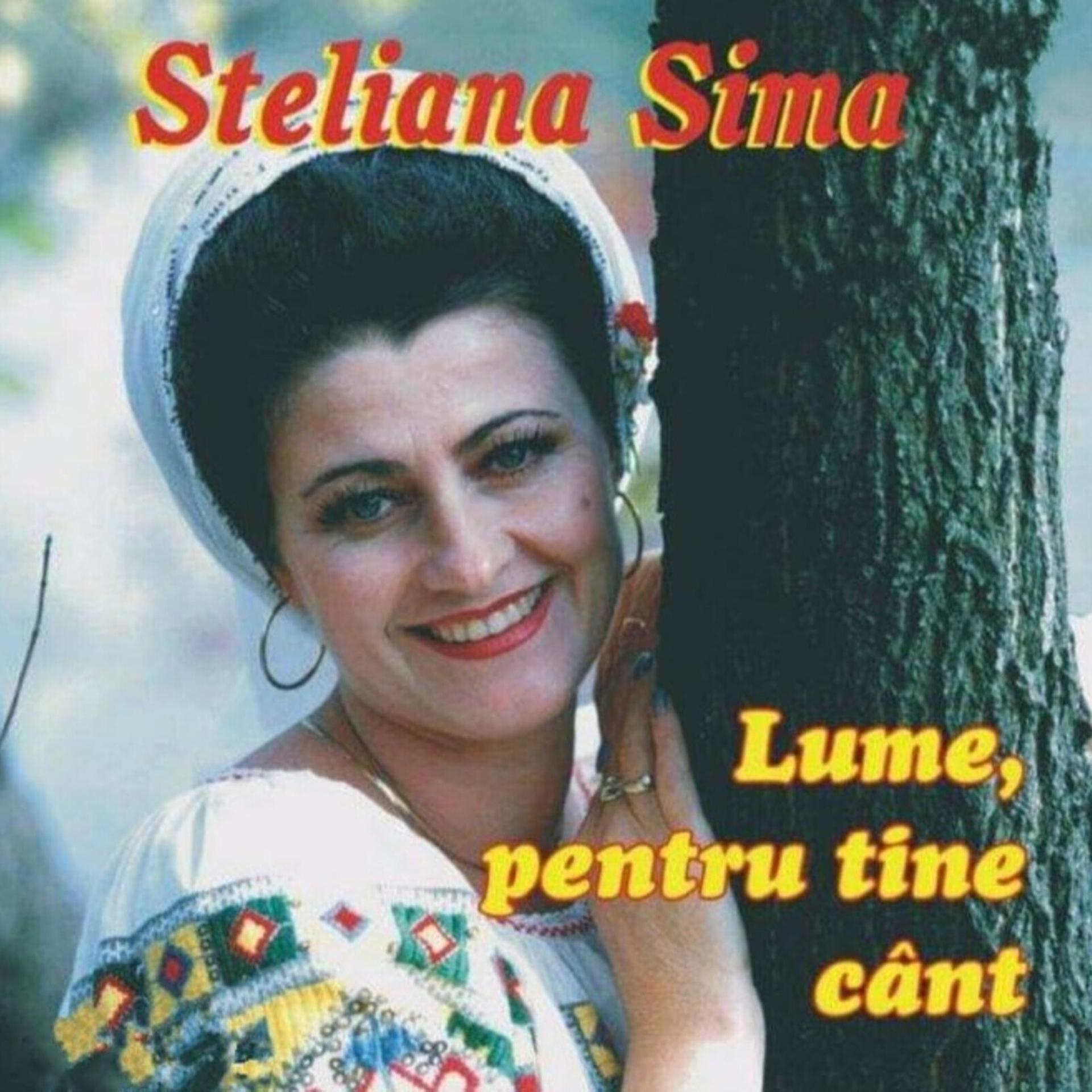 Постер альбома Lume, Pentru Tine Cant