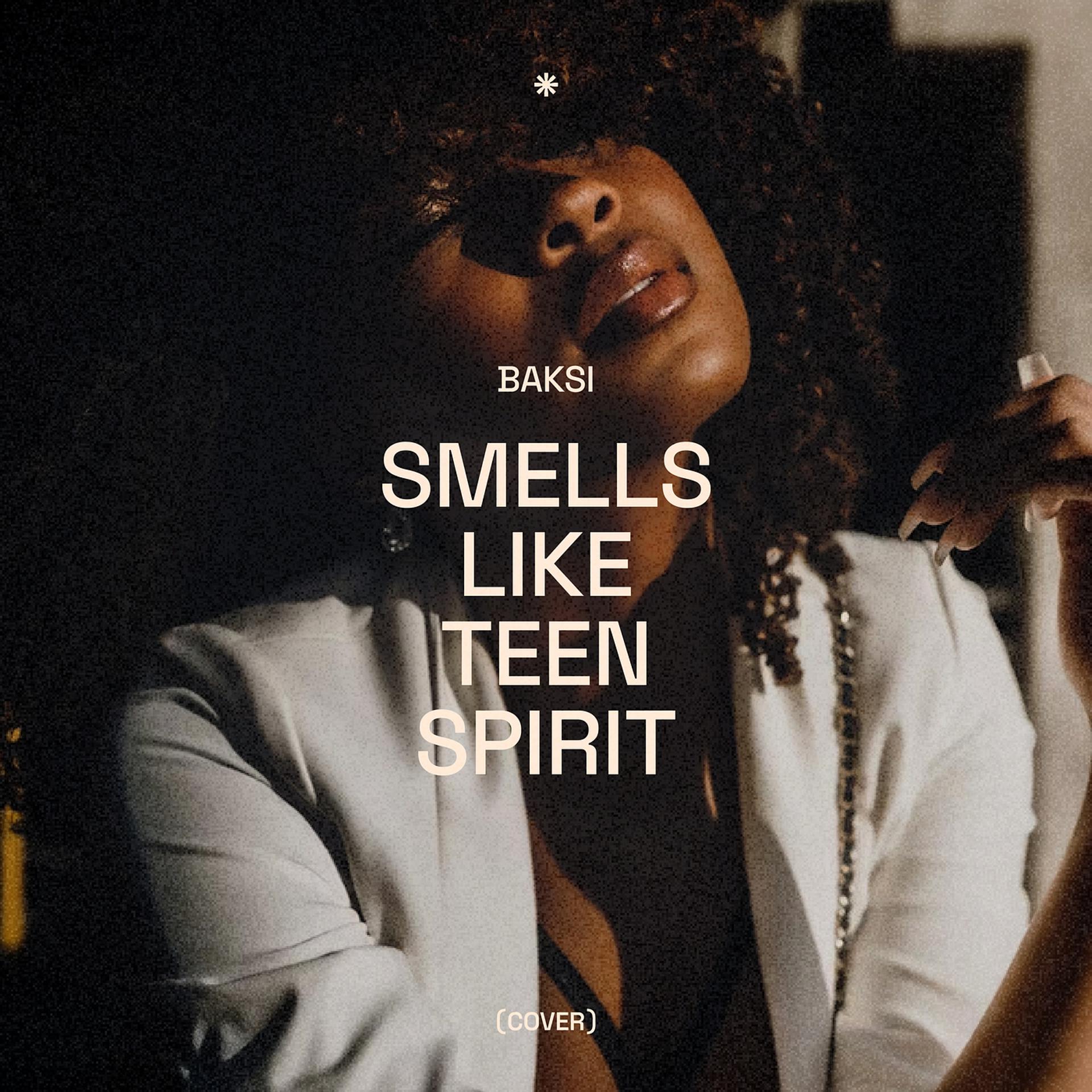 Постер альбома Smells Like Teen Spirit (Cover)