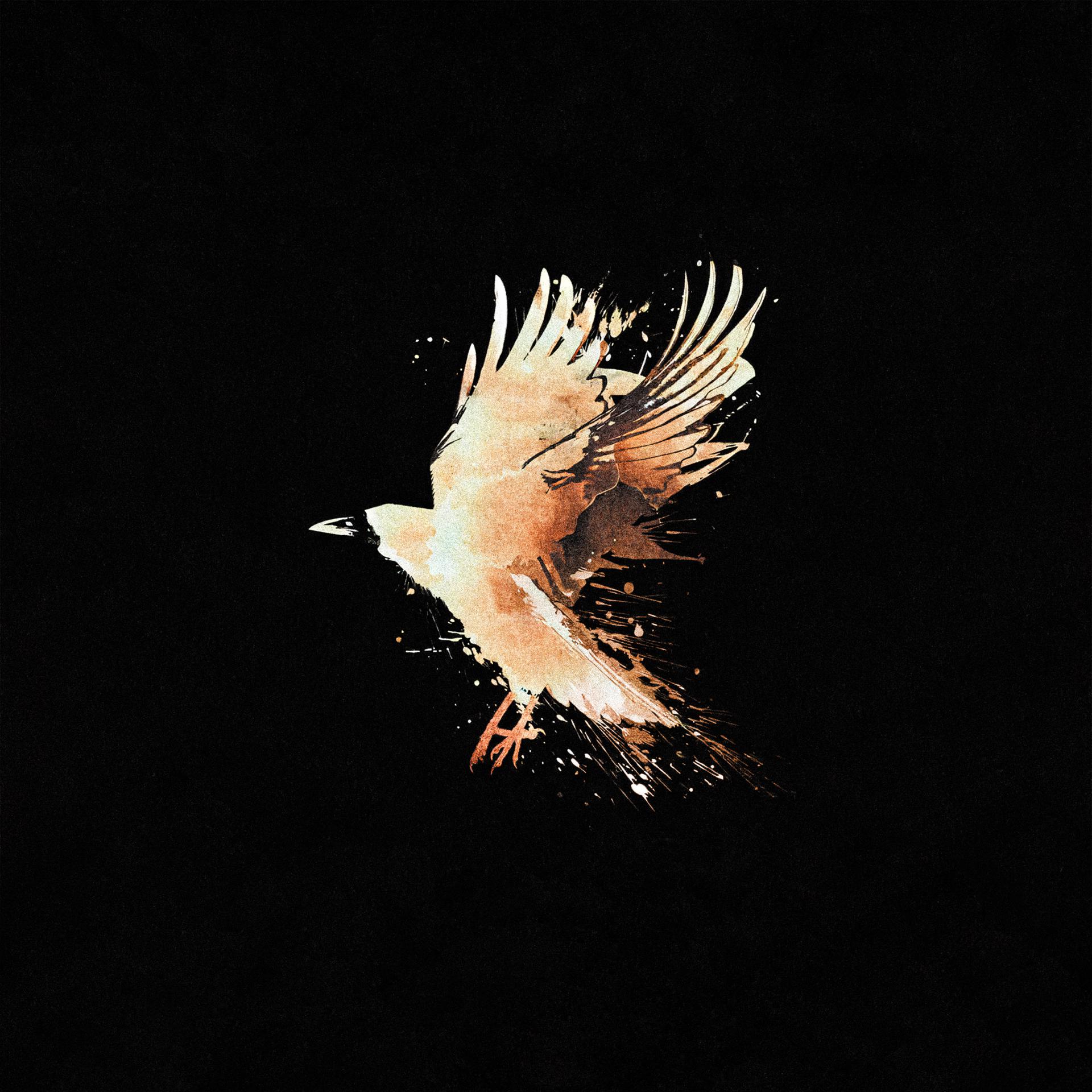 Постер альбома Ворона