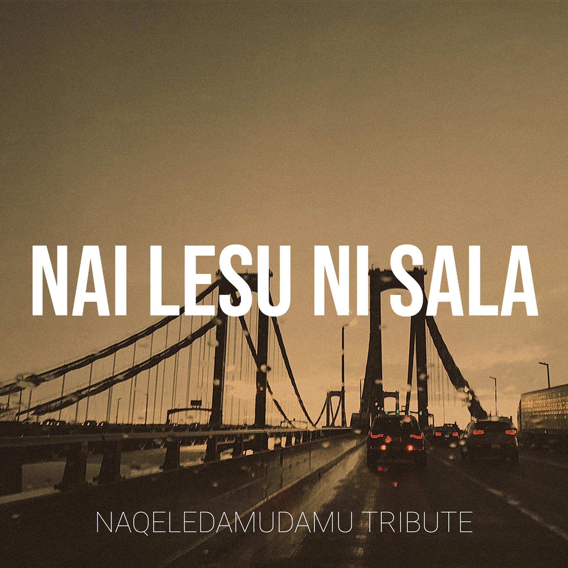 Постер альбома Nai Lesu Ni Sala