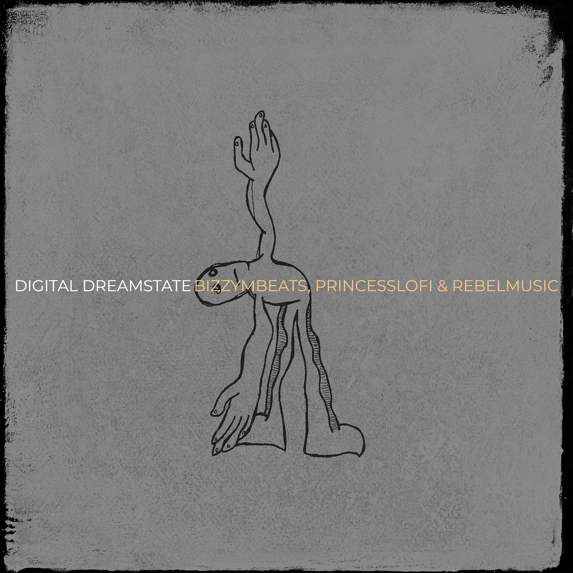 Постер альбома Digital Dreamstate