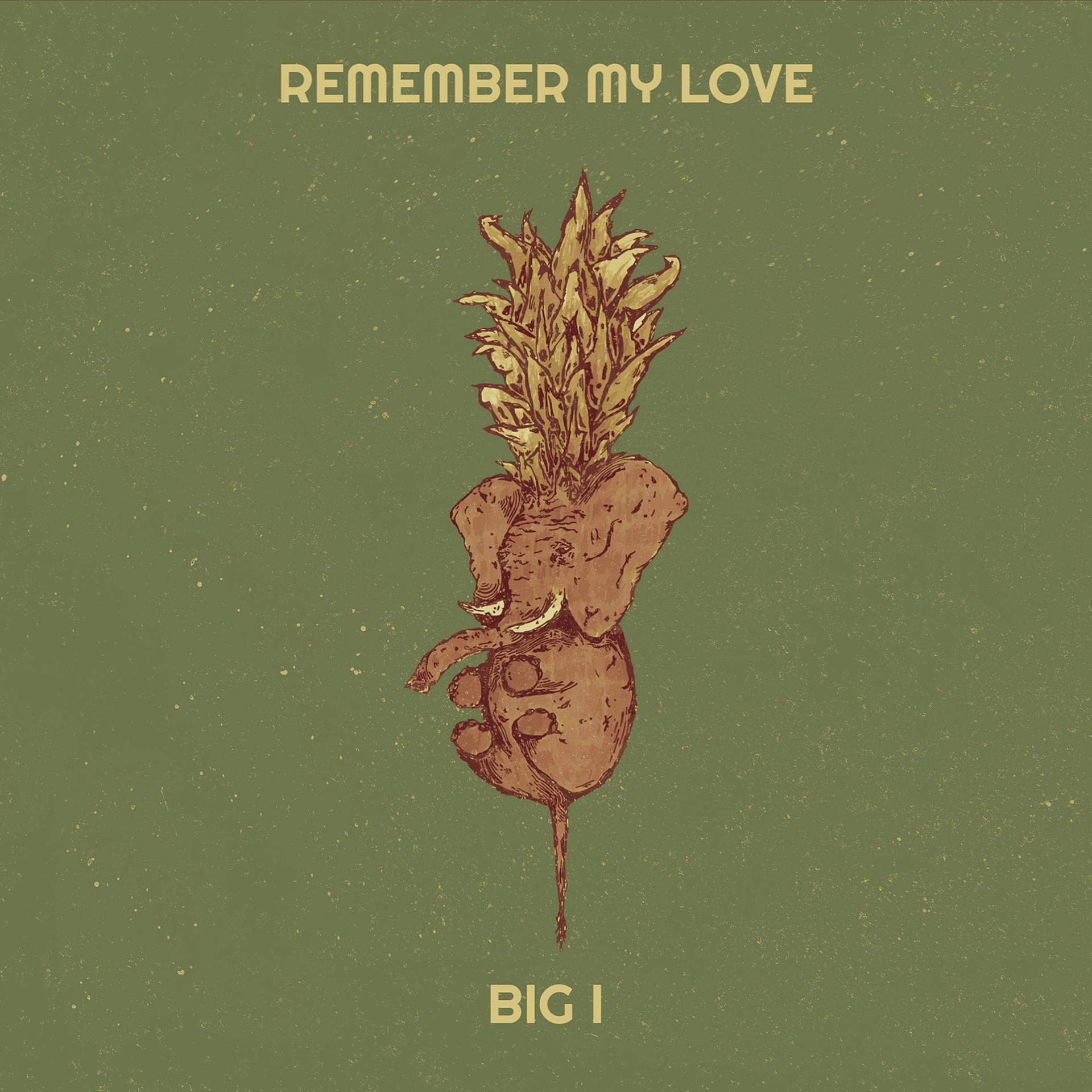 Постер альбома Remember My Love