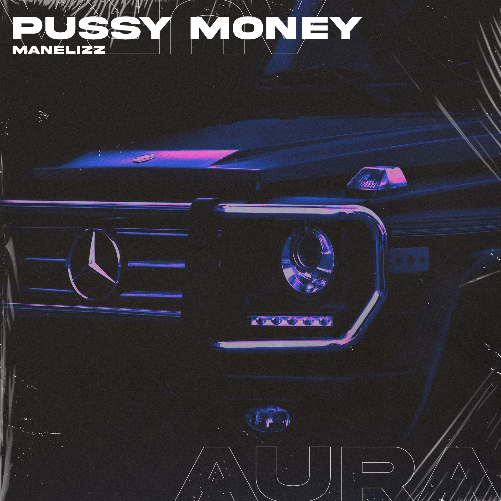Постер альбома Pussy Money