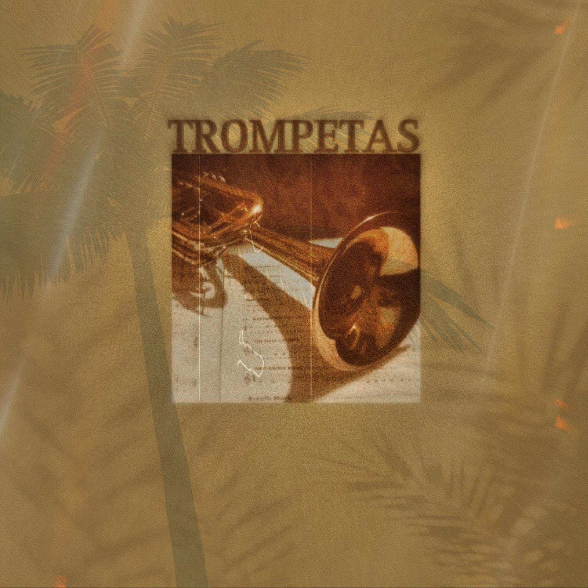 Постер альбома Trompetas