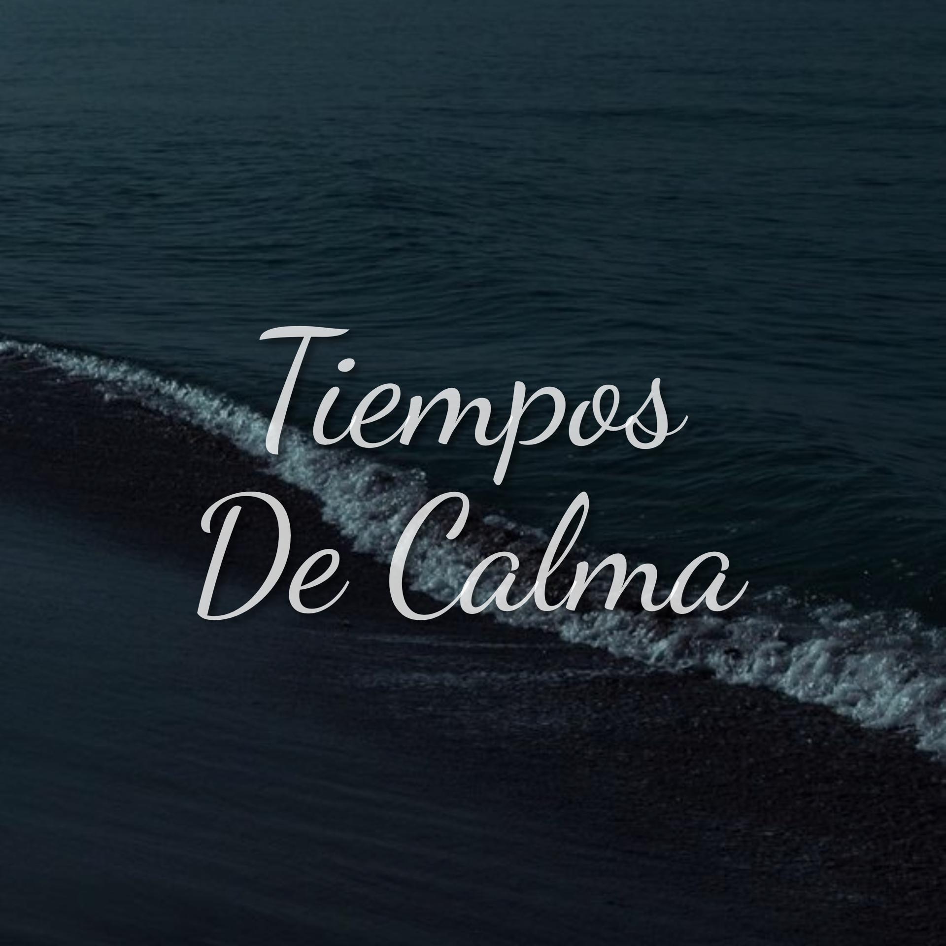 Постер альбома Tiempos De Calma