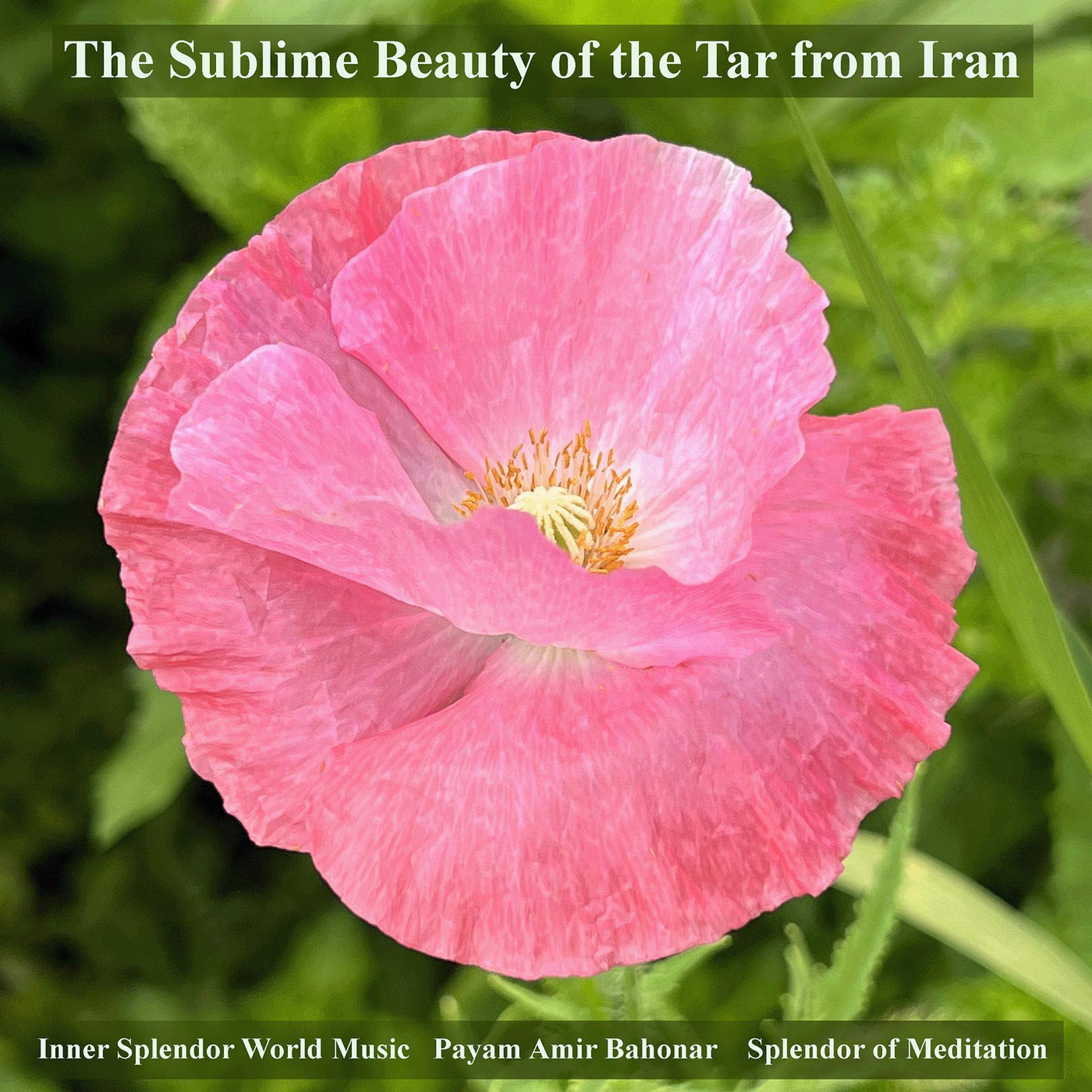 Постер альбома The Sublime Beauty of the Tar from Iran