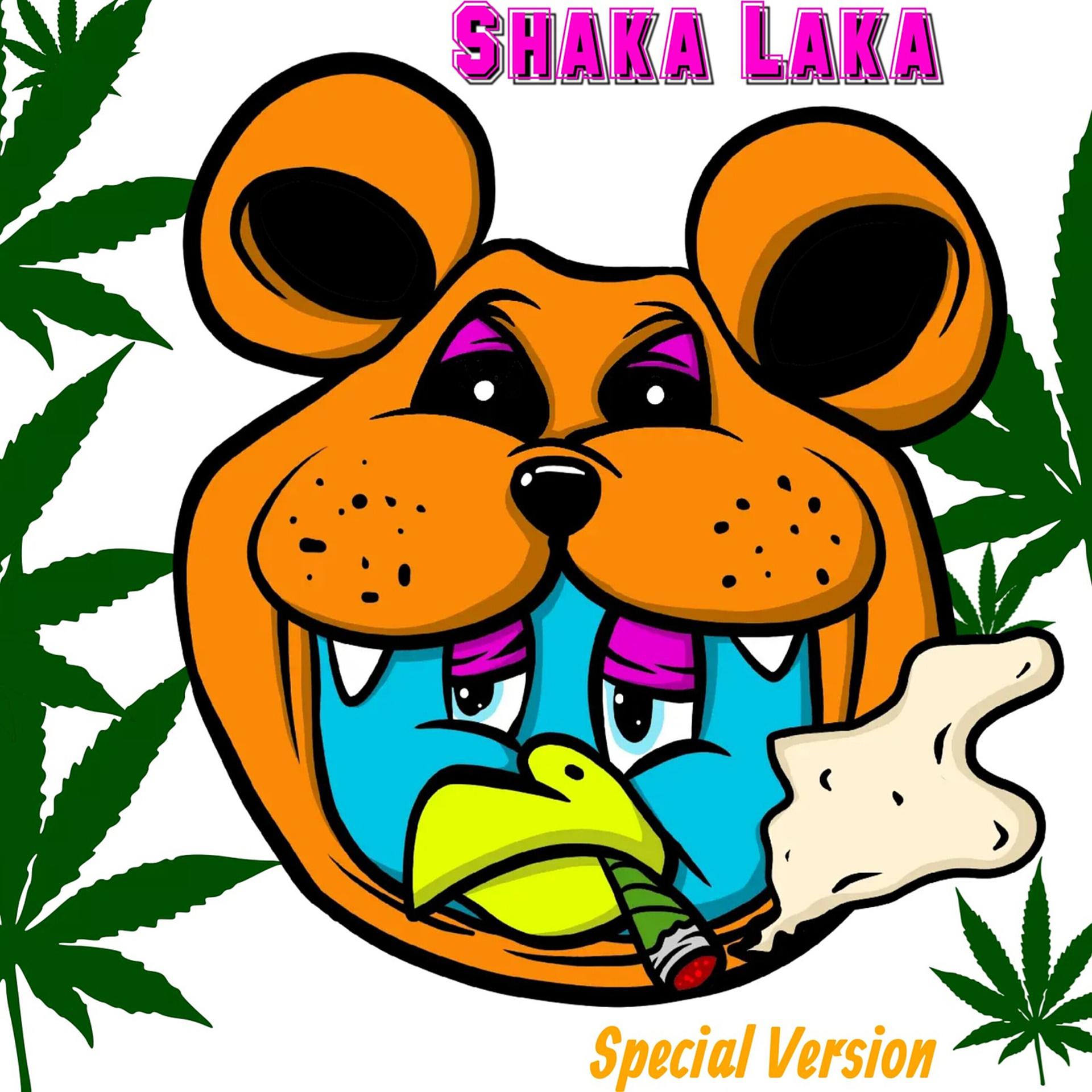 Постер альбома Shaka Laka (Special Version)