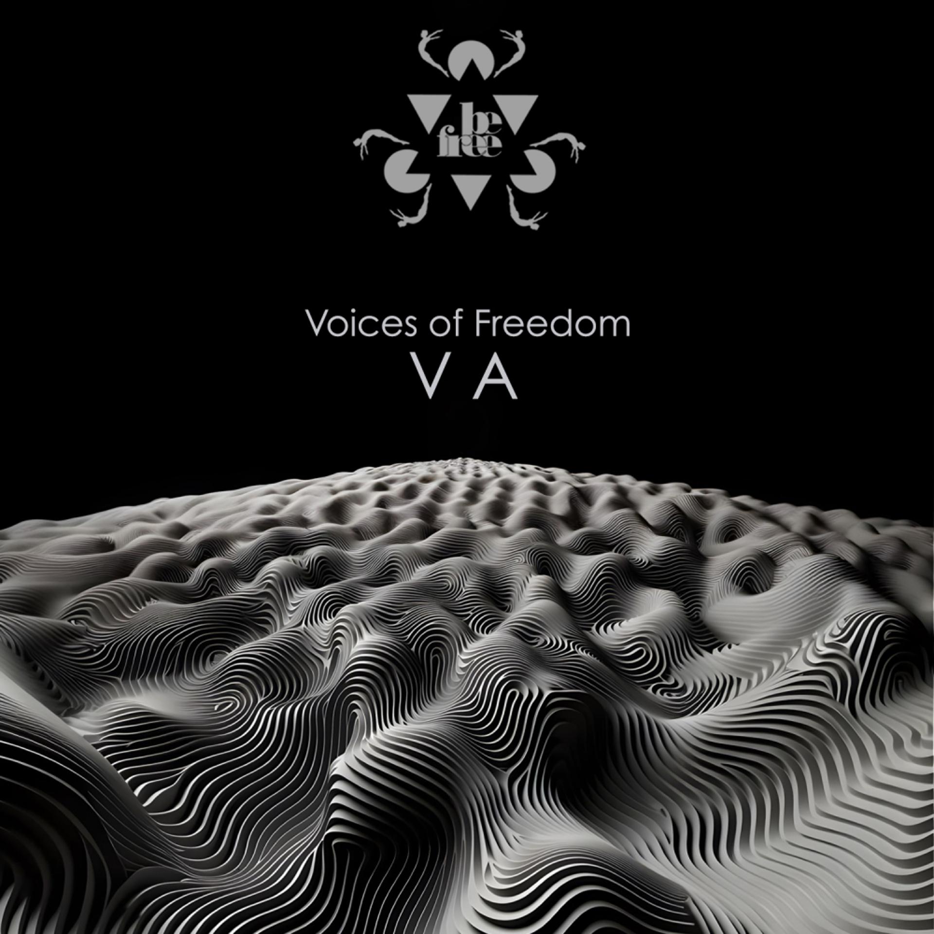 Постер альбома Voice Of Freedom