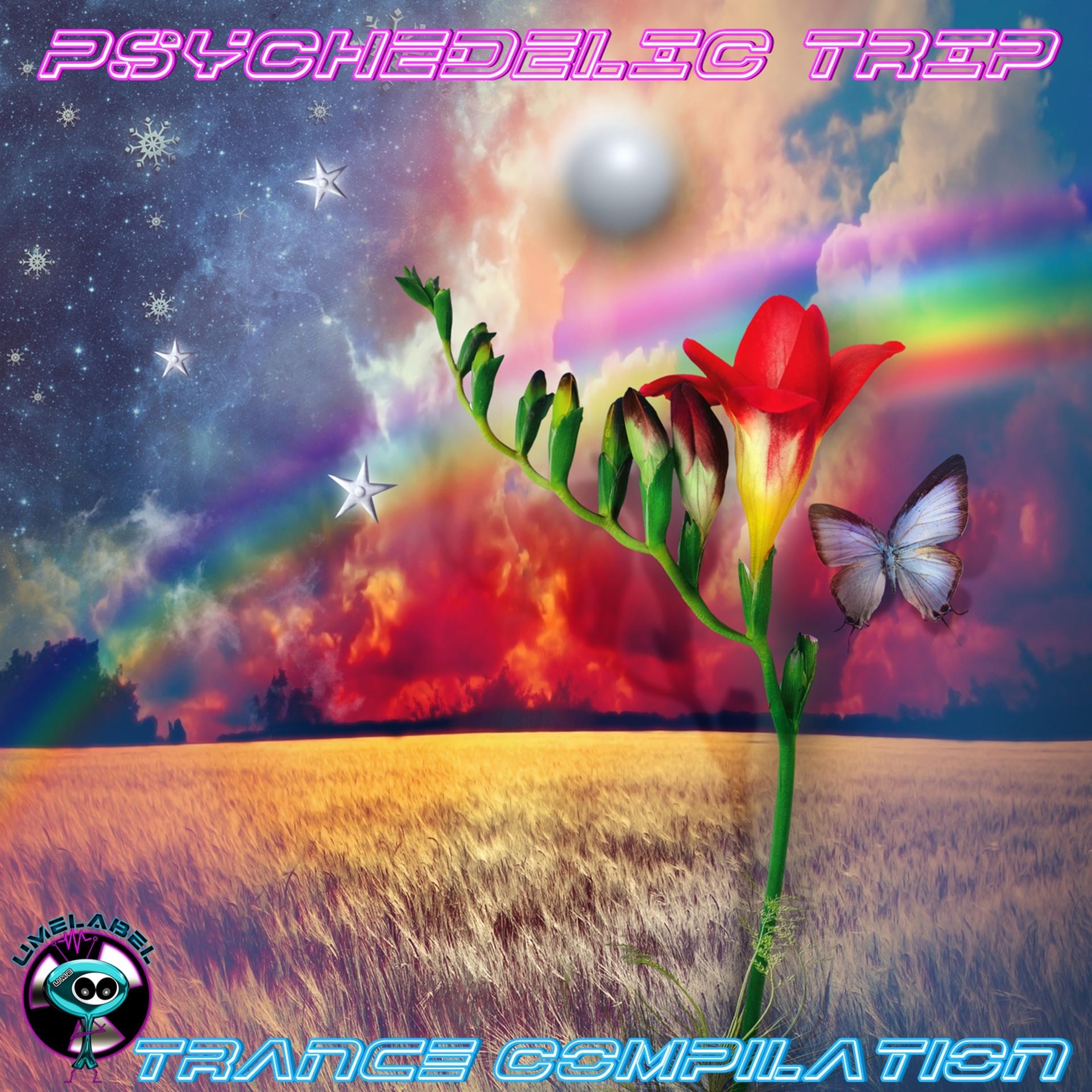 Постер альбома Psychedelic Trip