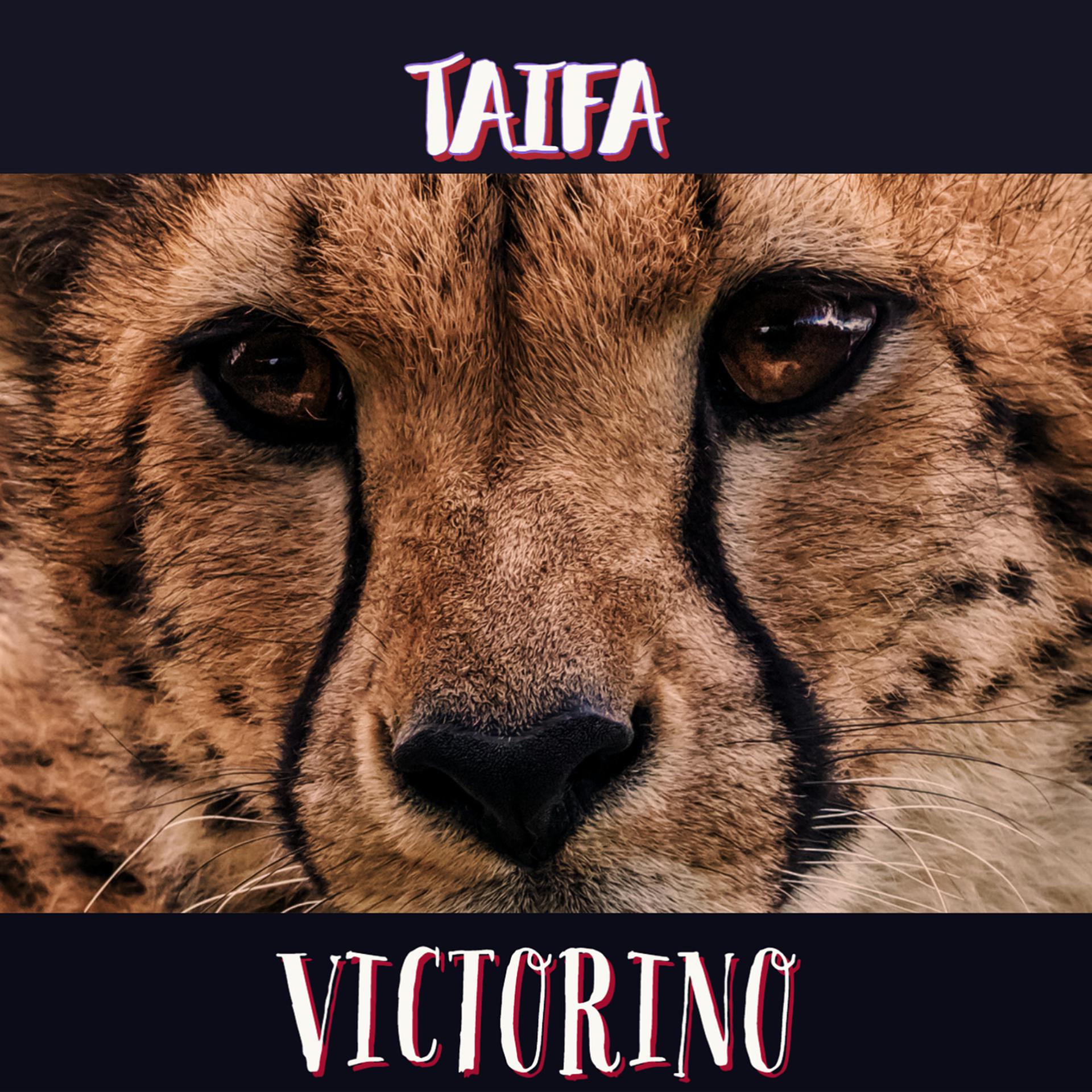 Постер альбома Taifa