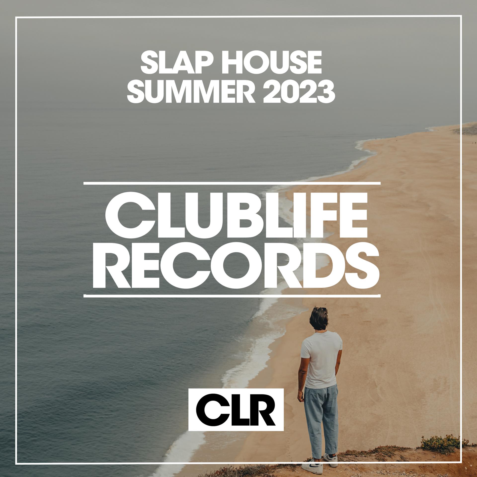 Постер альбома Slap House Summer 2023
