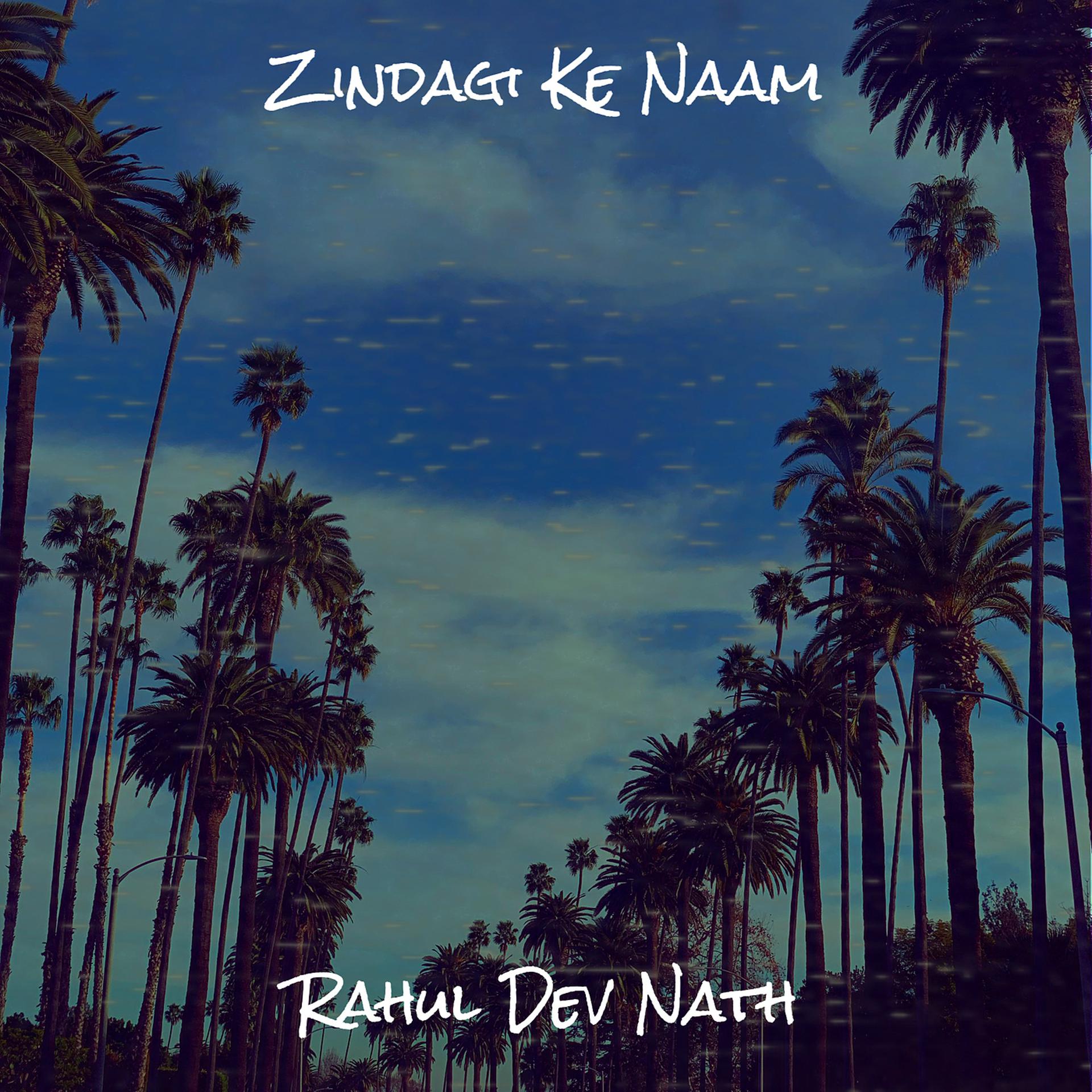 Постер альбома Zindagi Ke Naam