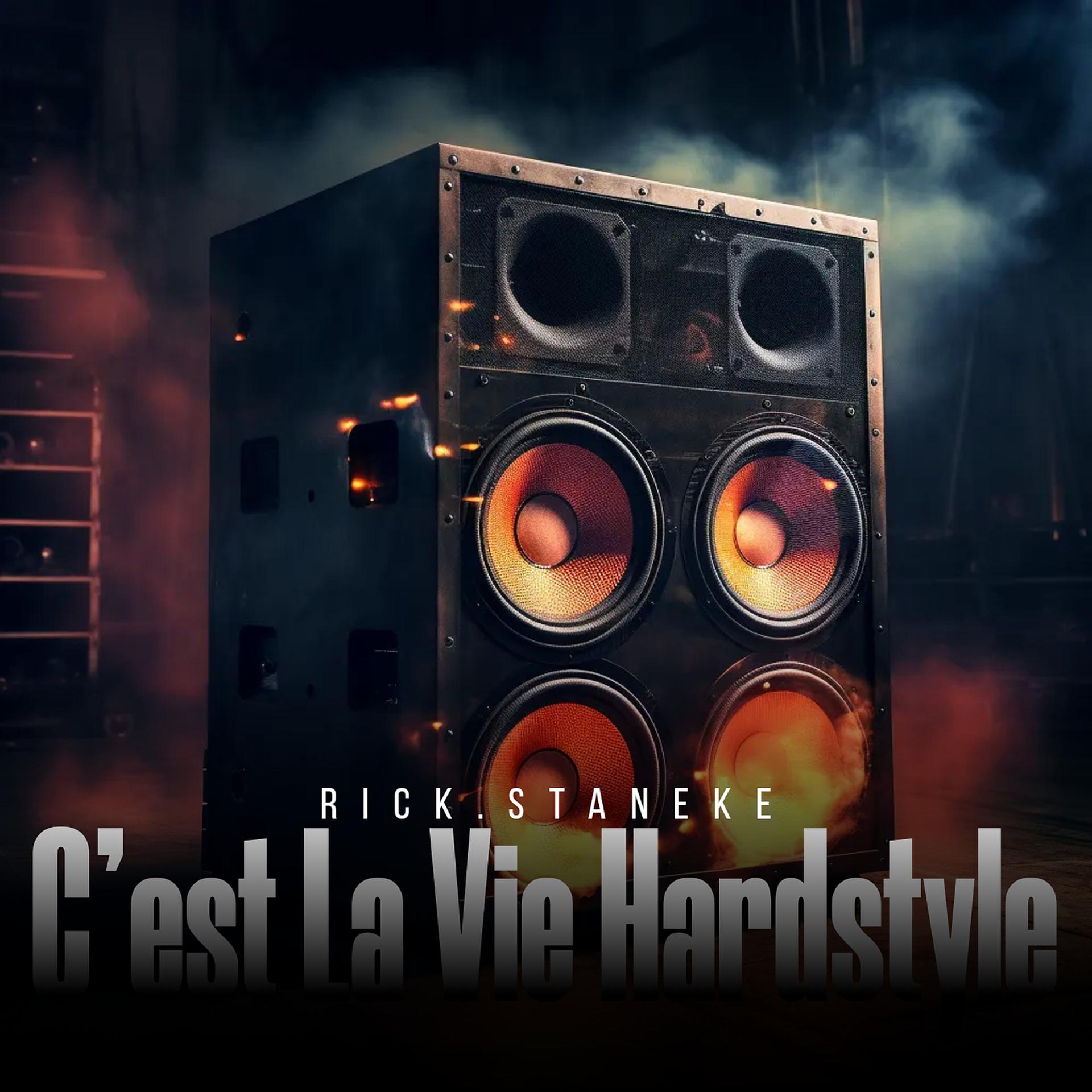 Постер альбома C'est La Vie Hardstyle