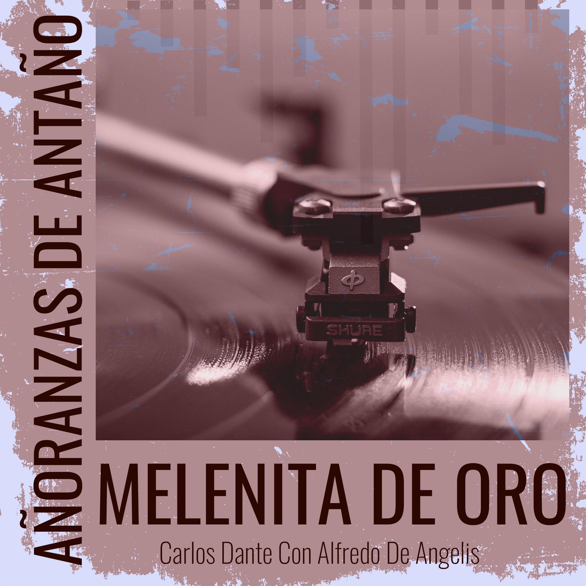 Постер альбома Añoranzas de Antaño Melenita De Oro