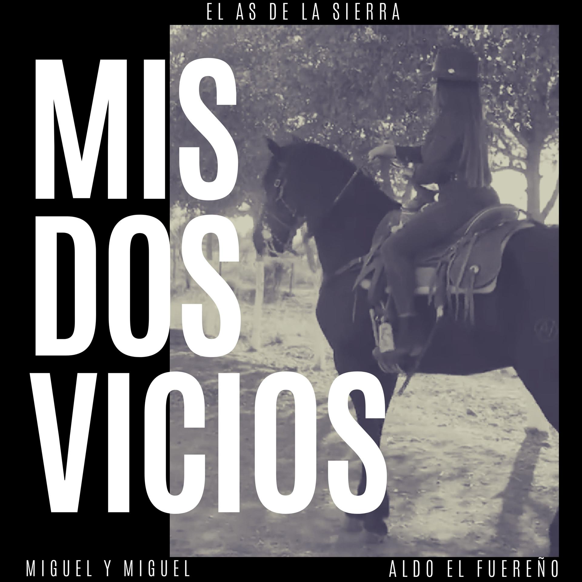 Постер альбома Mis Dos Vicios