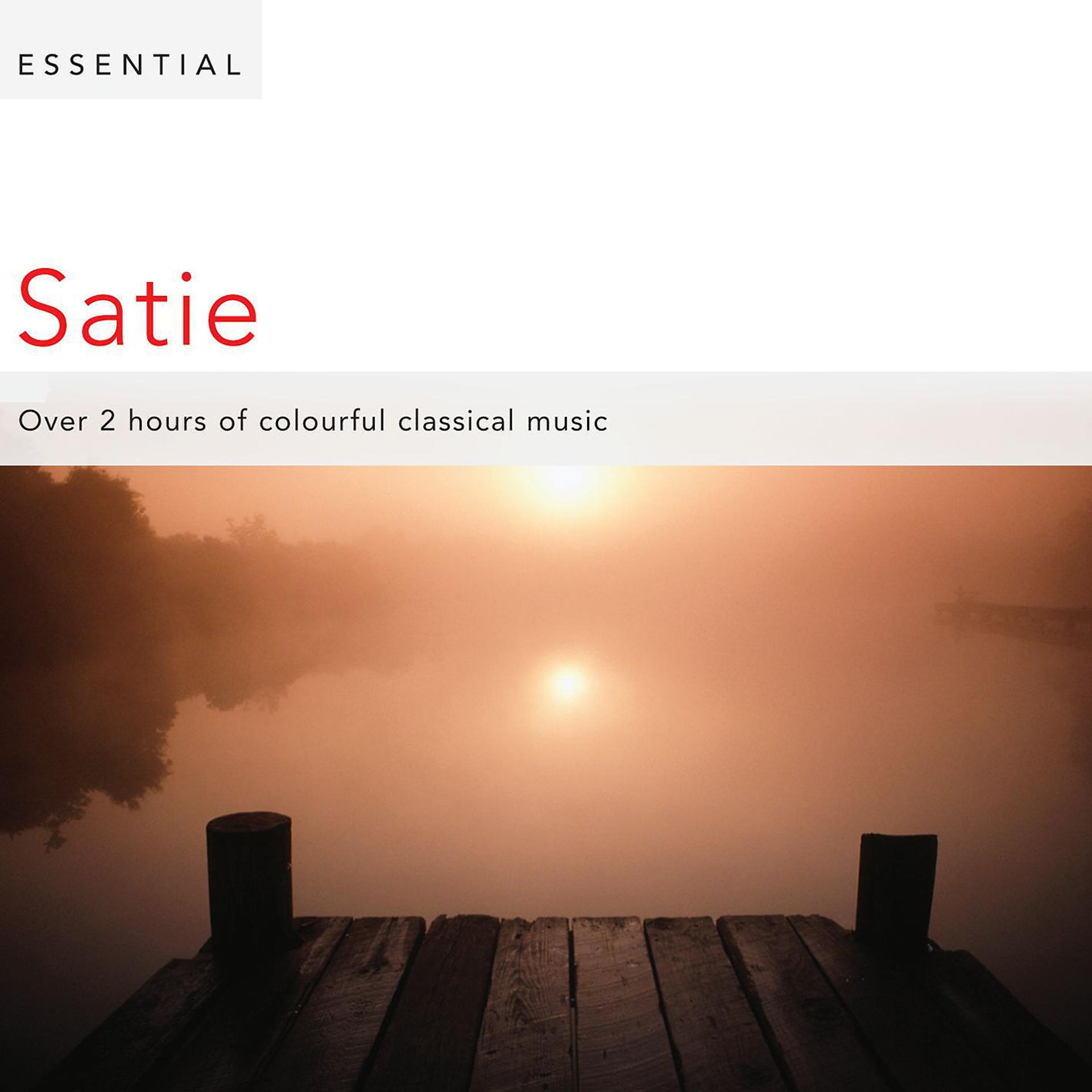 Постер альбома Essential Satie