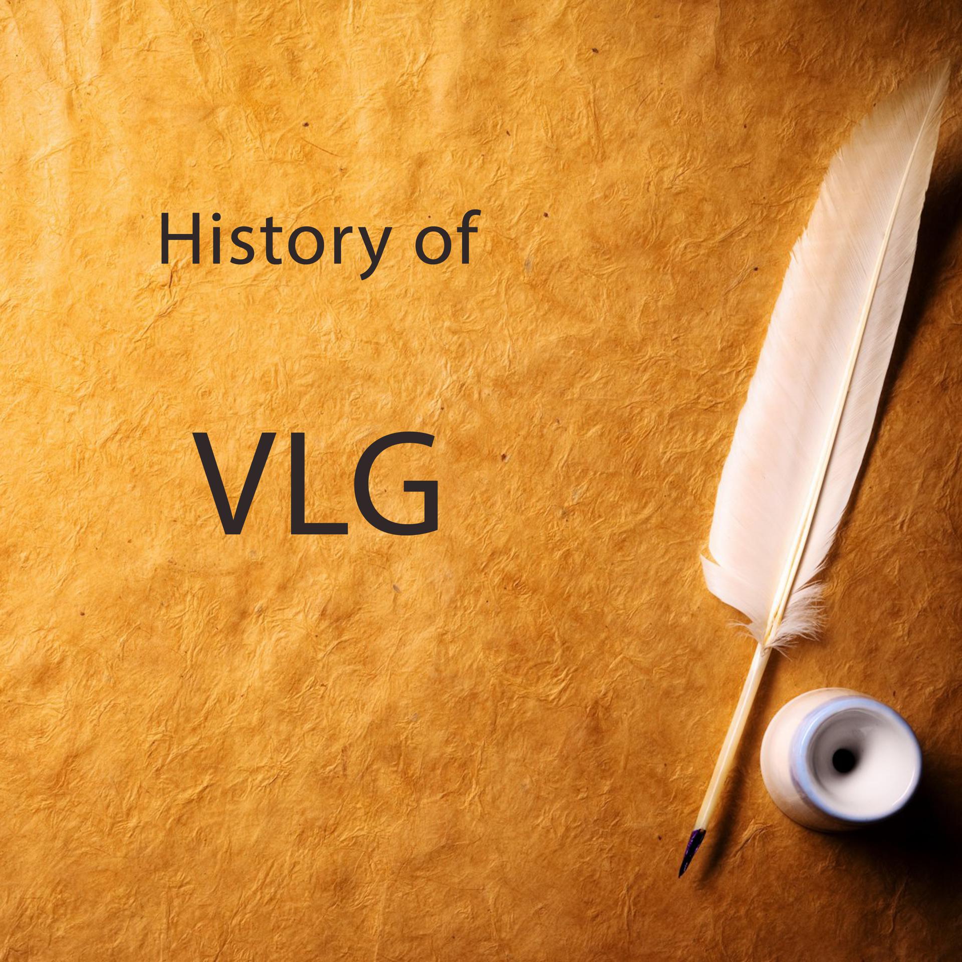 Постер альбома History of Vlg