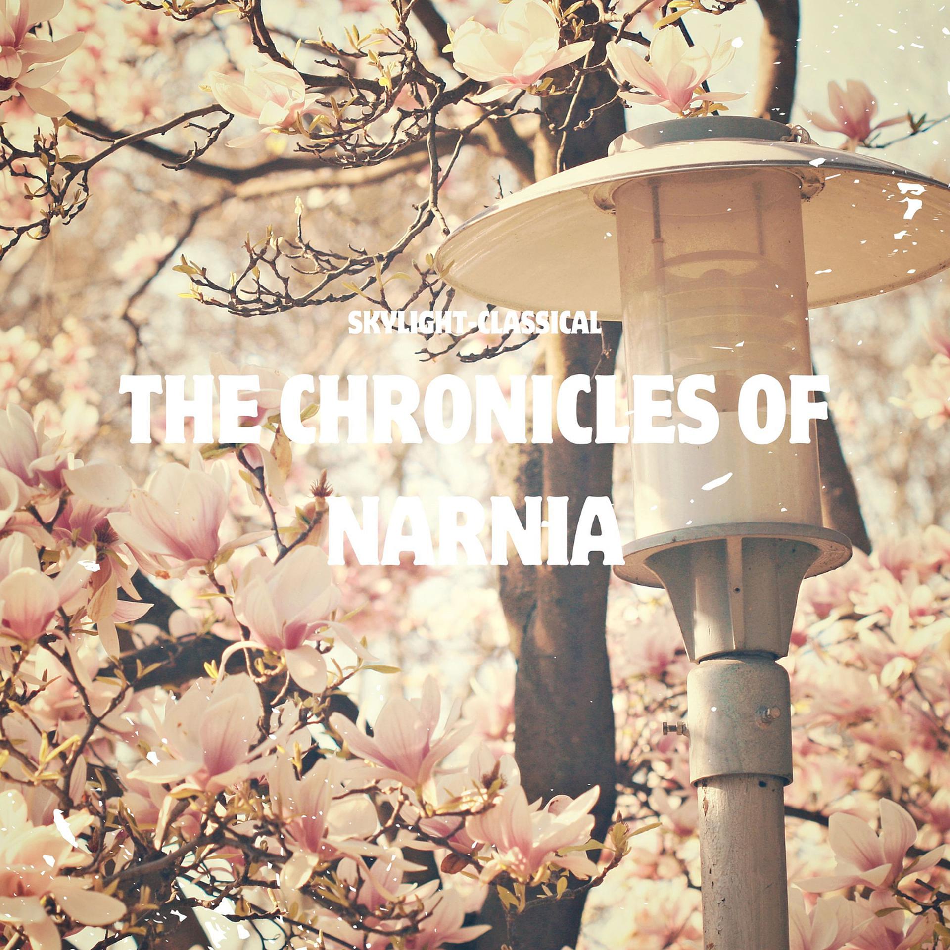 Постер альбома The Chronicles of Narnia