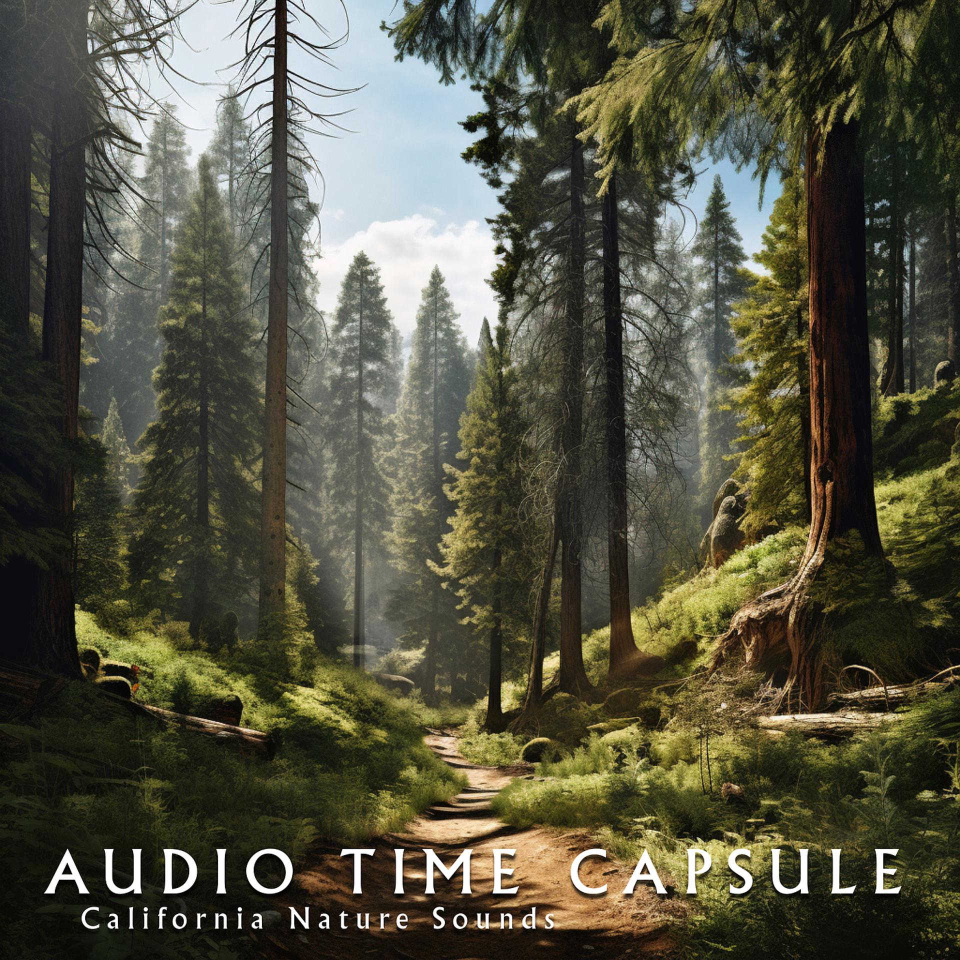 Постер альбома California Nature Sounds