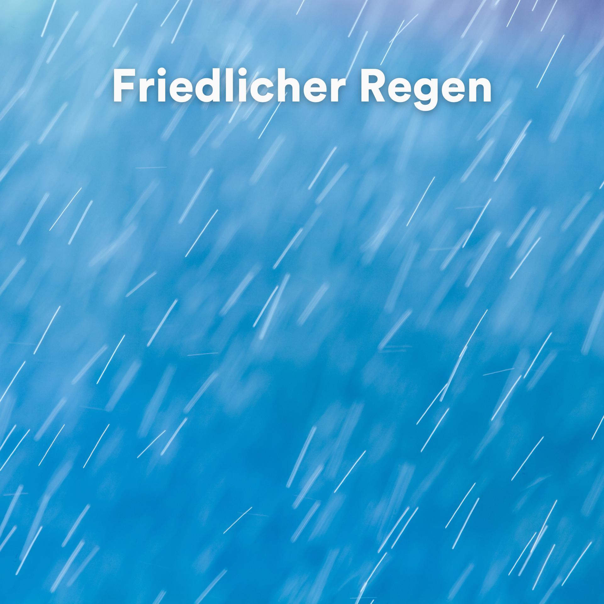 Постер альбома Friedlicher Regen