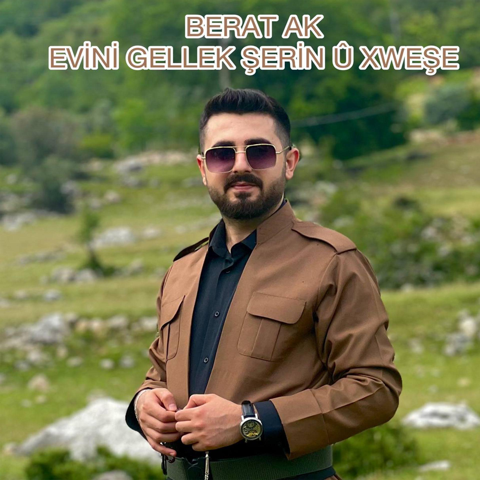 Постер альбома Evini Gellek Şerin u Xweşe