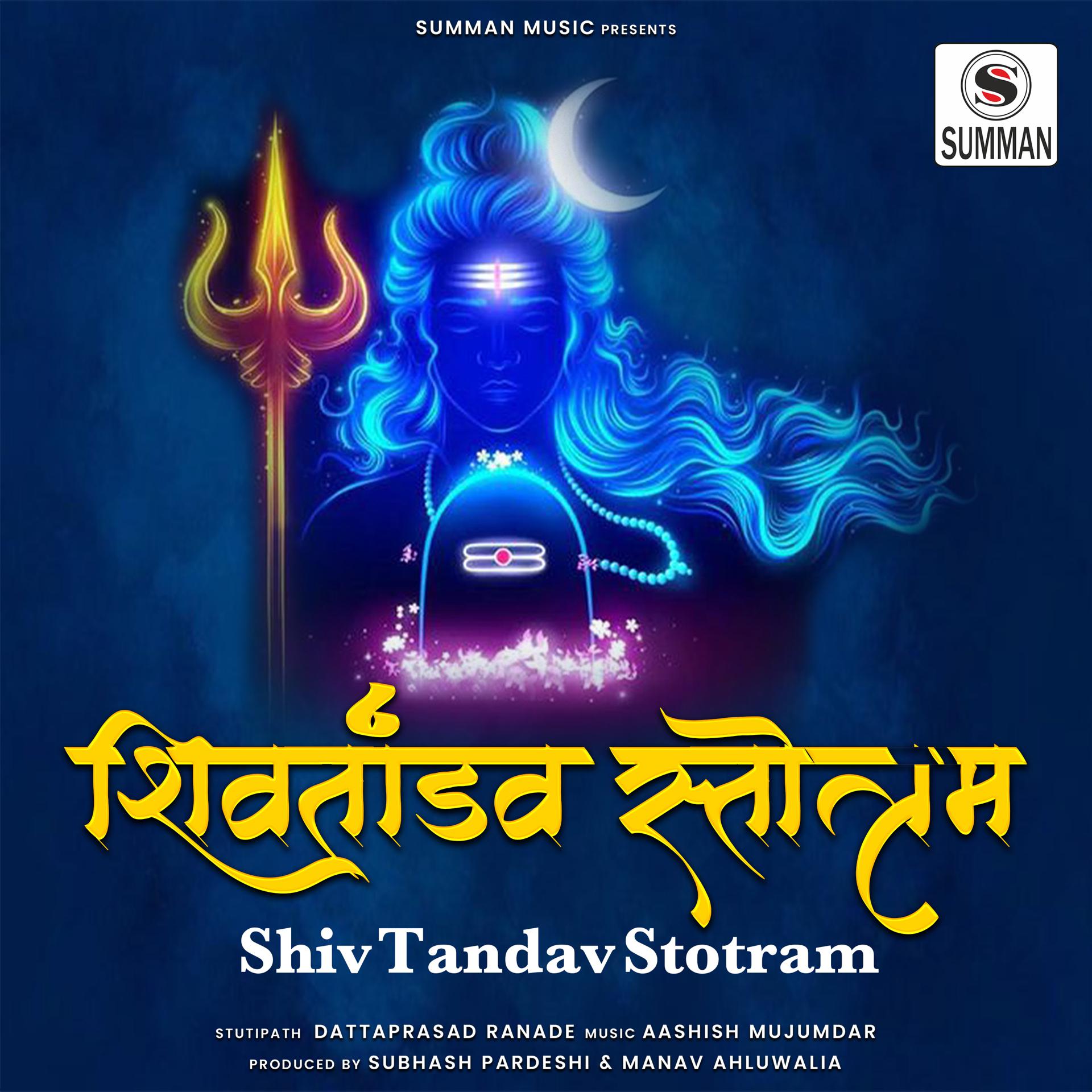 Постер альбома Shiv Tandav Stotram