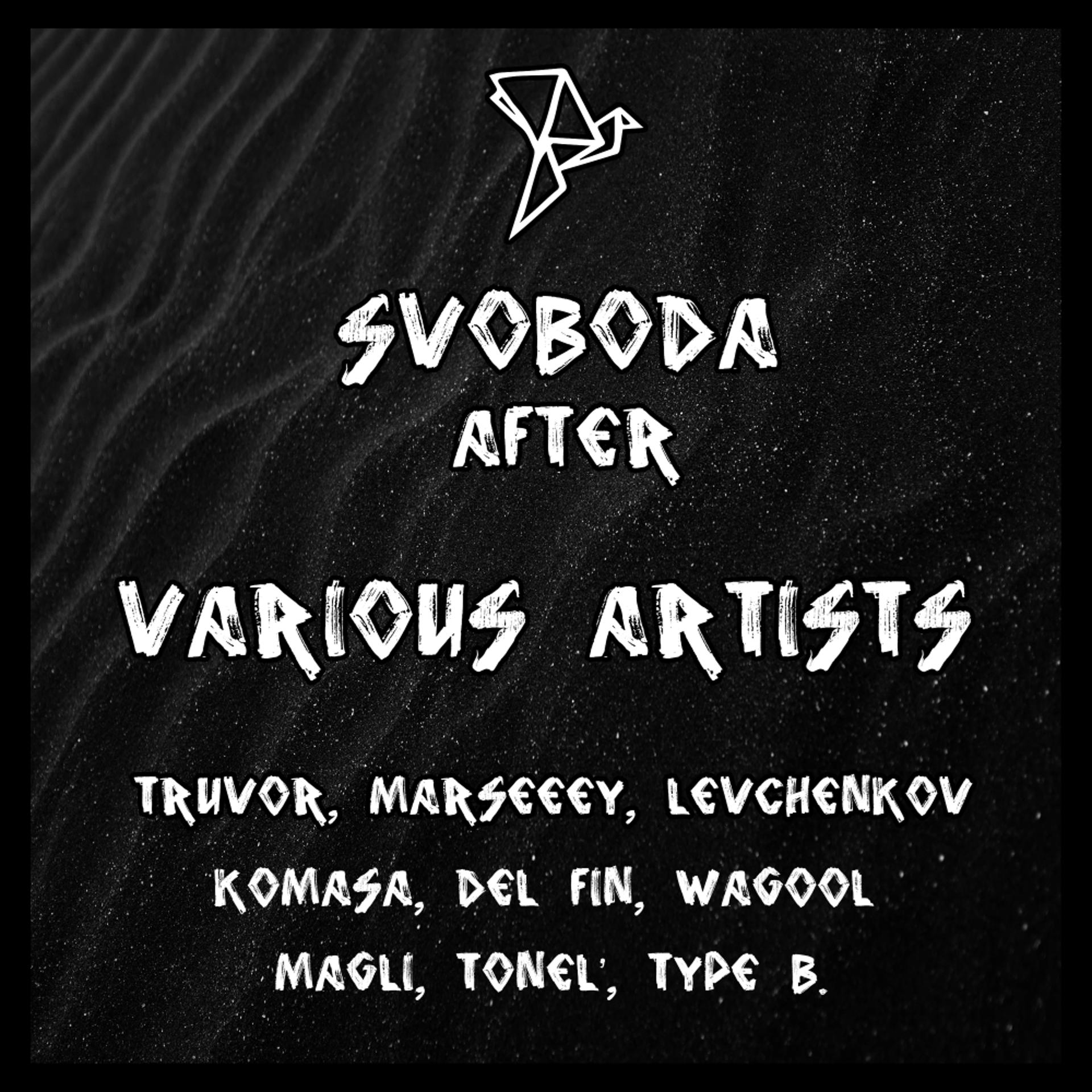 Постер альбома Svoboda After VA 2