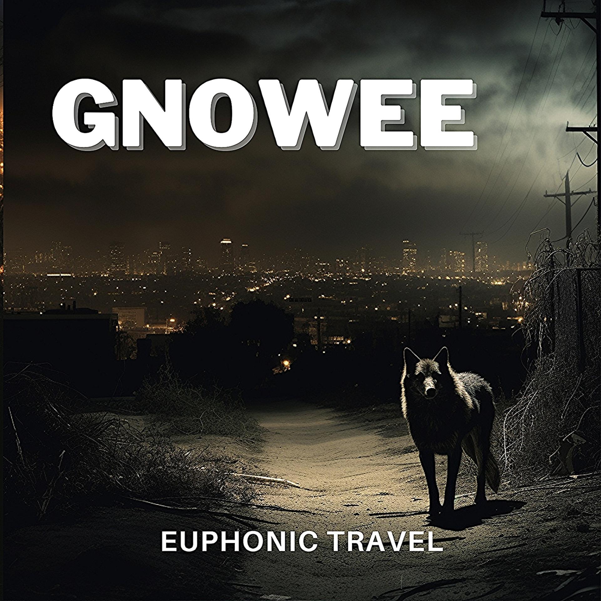 Постер альбома Euphonic Travel