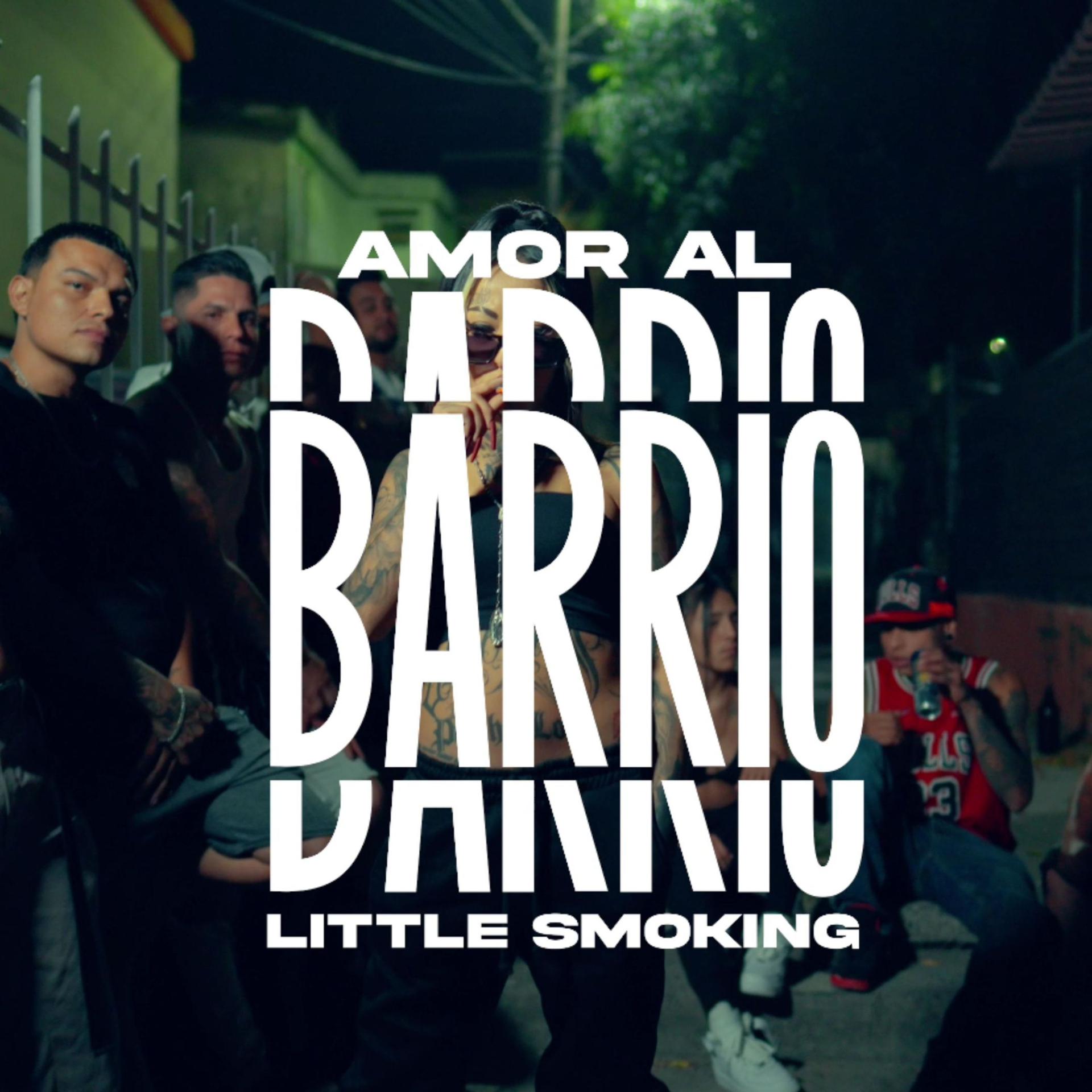 Постер альбома Amor Al Barrio