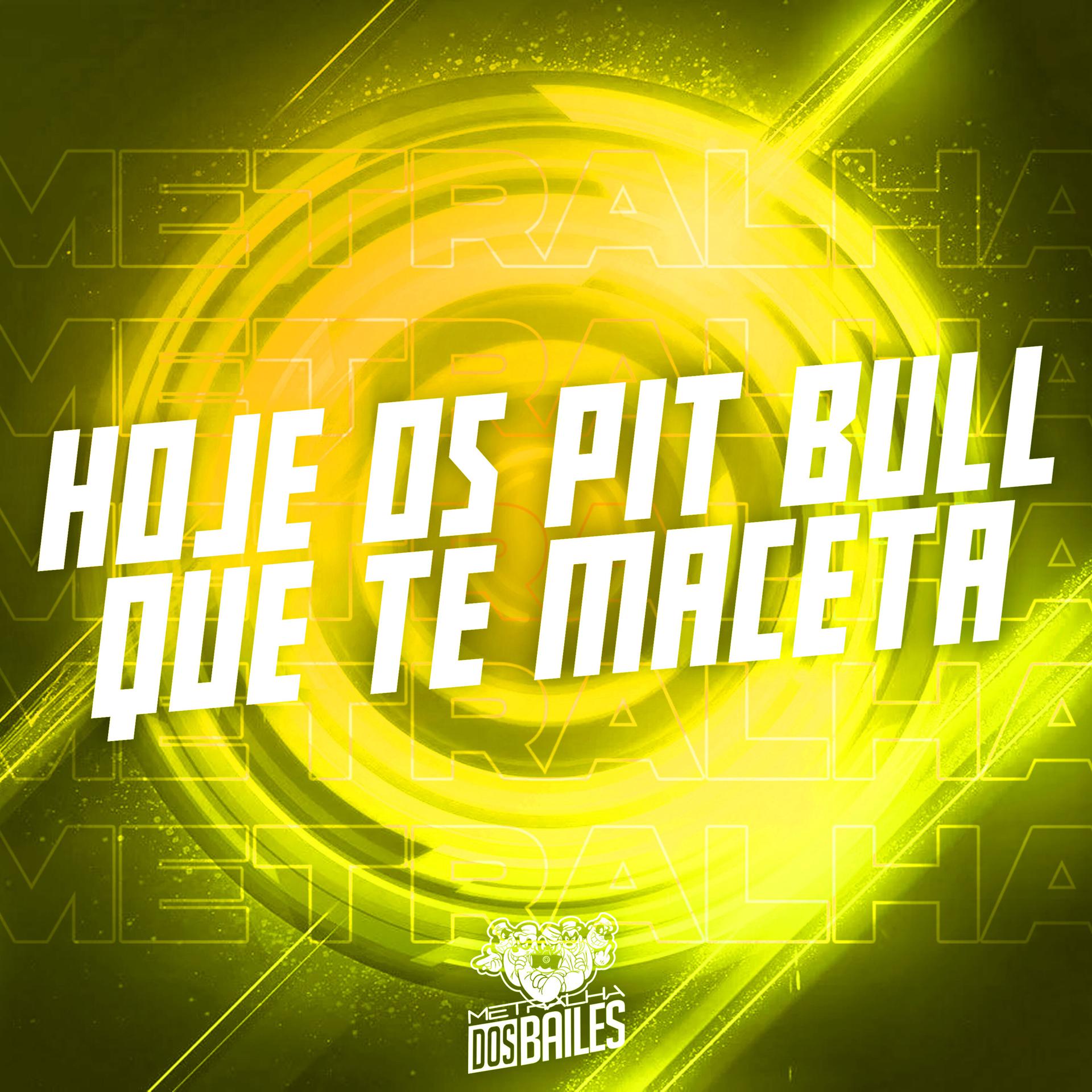 Постер альбома Hoje os Pit Bull Que Te Maceta