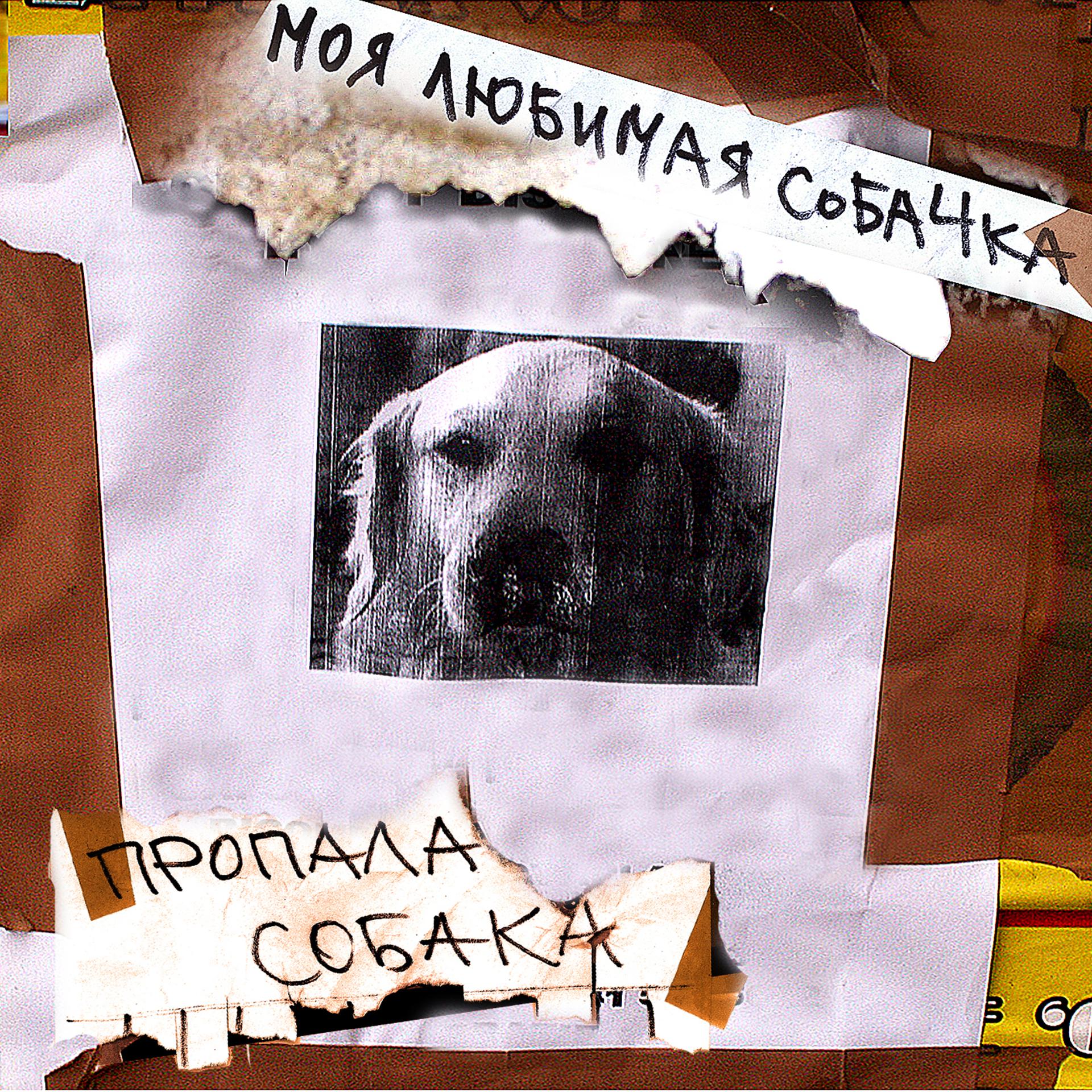 Постер альбома Пропала собака