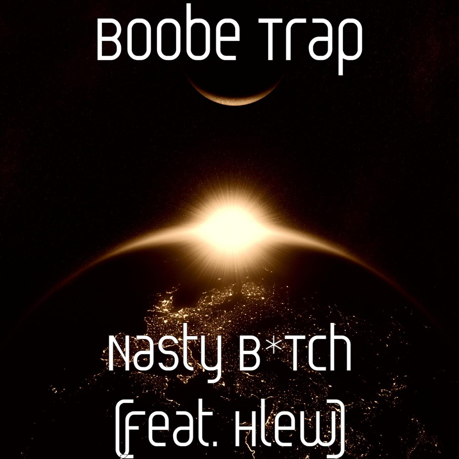 Постер альбома Nasty B*Tch (feat. Hlew)