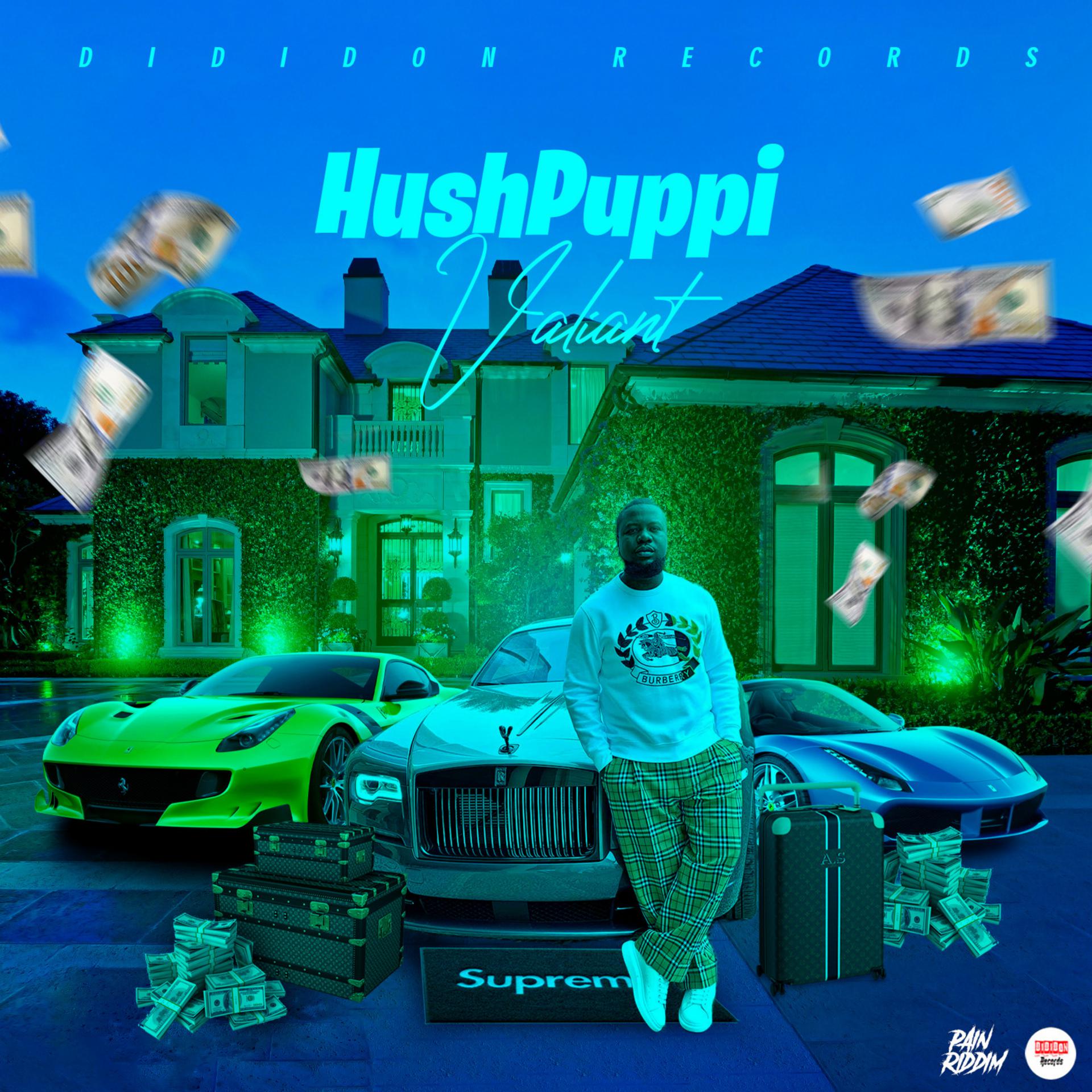 Постер альбома Hushpuppi
