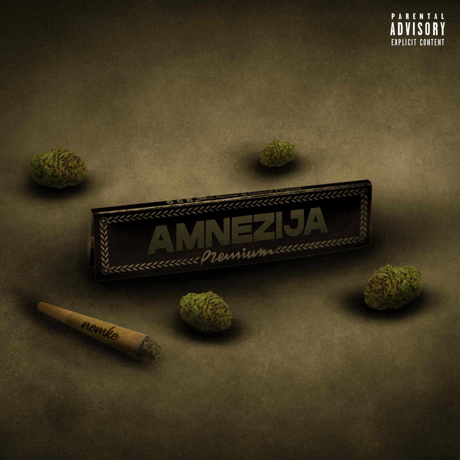 Постер альбома Amnezija