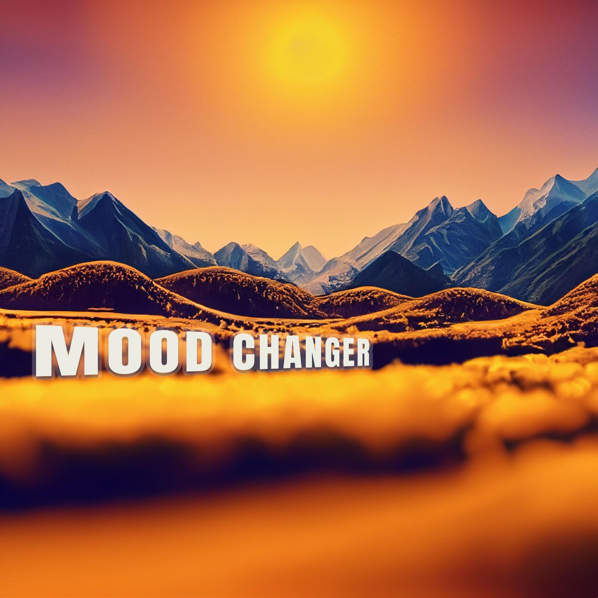 Постер альбома Mood Changer