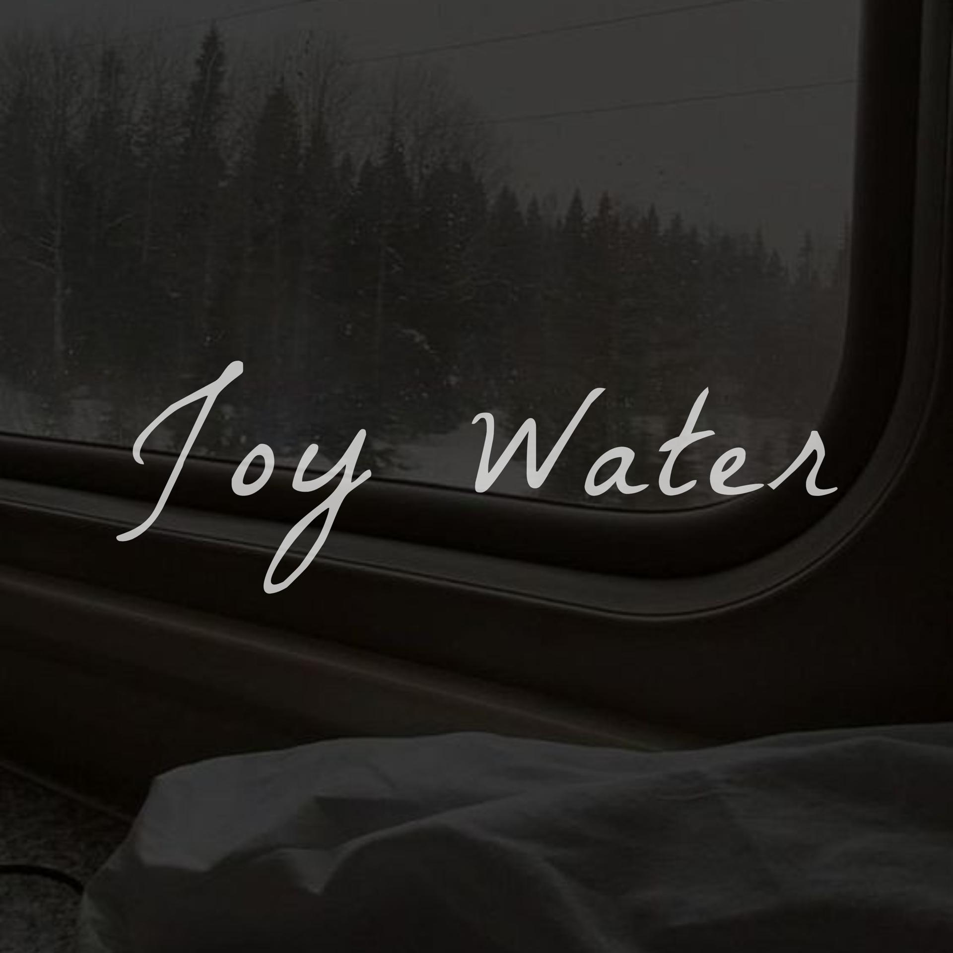 Постер альбома Joy Water