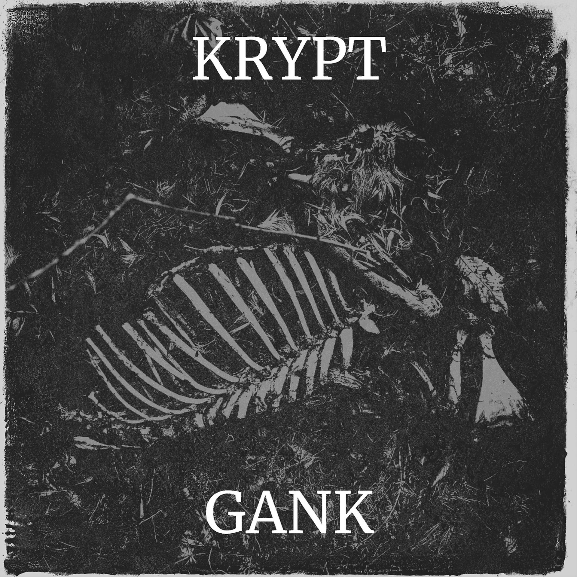 Постер альбома Krypt