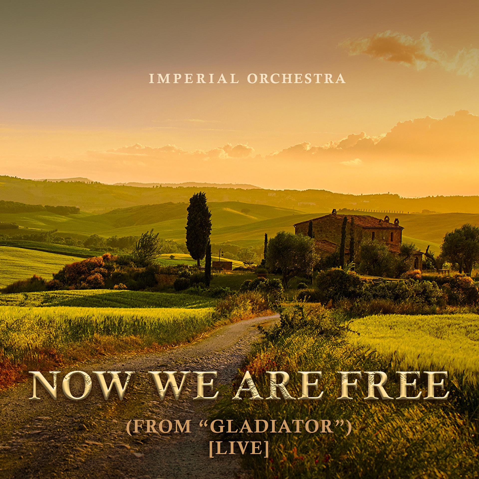 Постер альбома Now We Are Free (From "Gladiator") [Live]