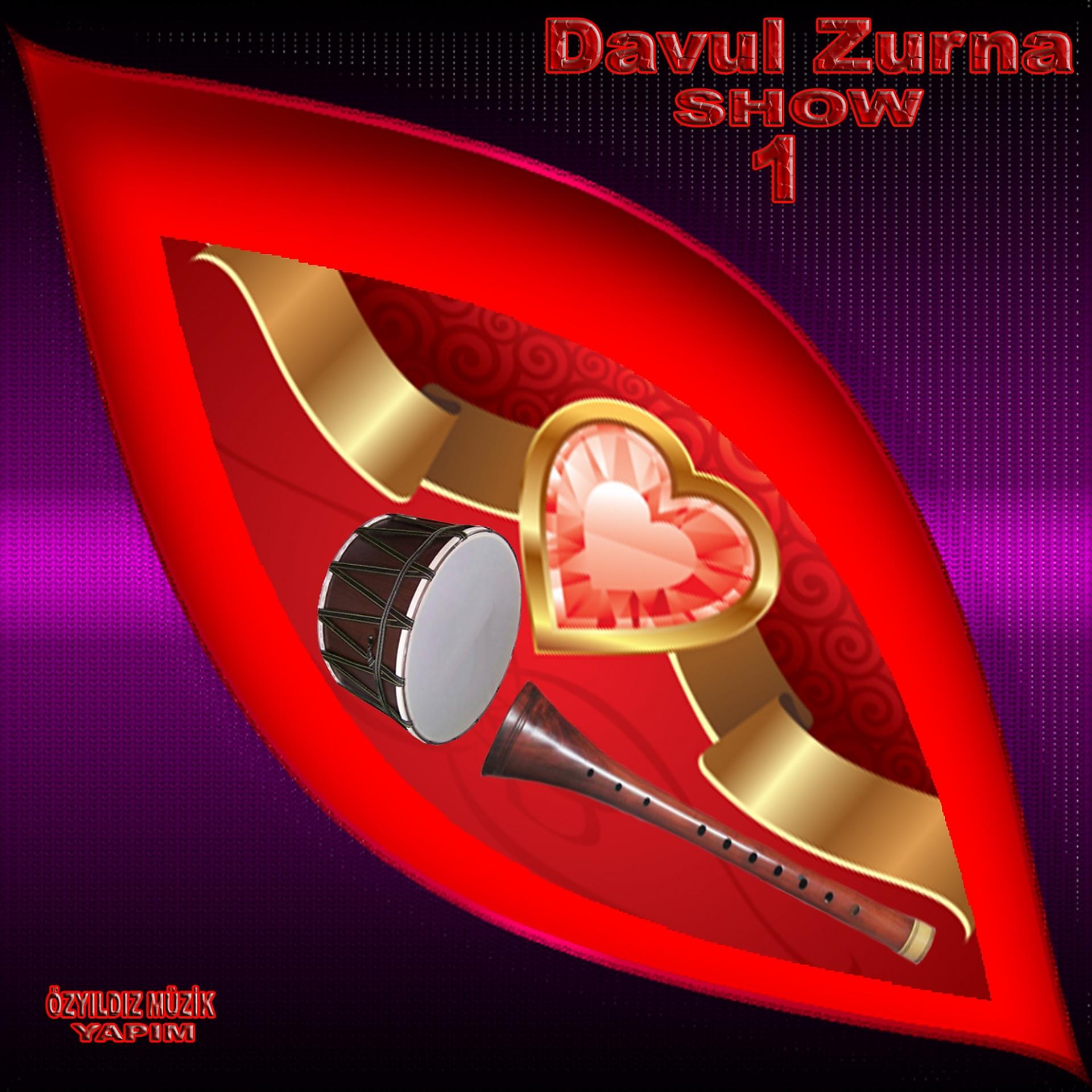 Постер альбома Davul Zurna Show, Vol. 1