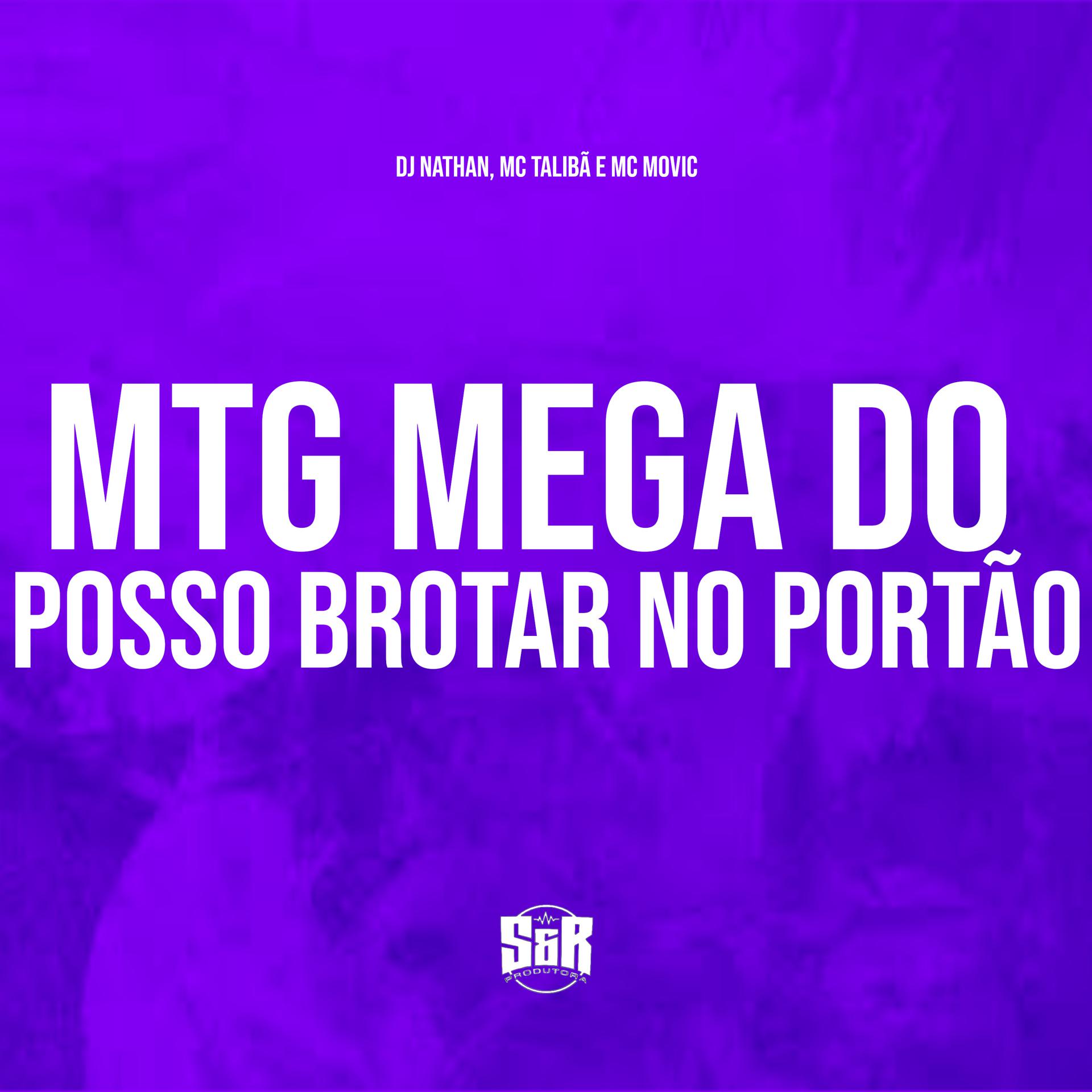 Постер альбома Mtg Mega do Posso Brotar no Portão