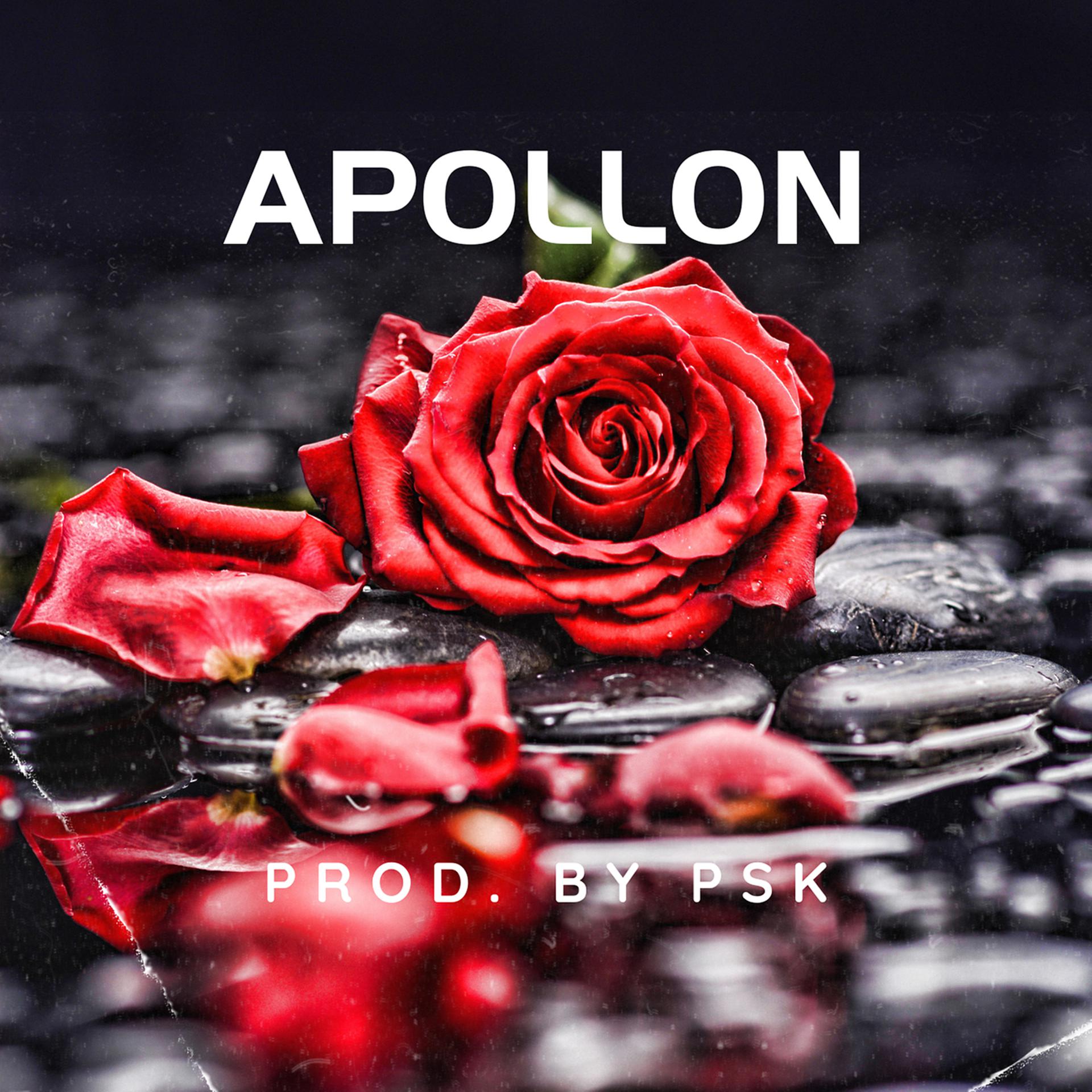 Постер альбома Apollon ( Instru Rap )