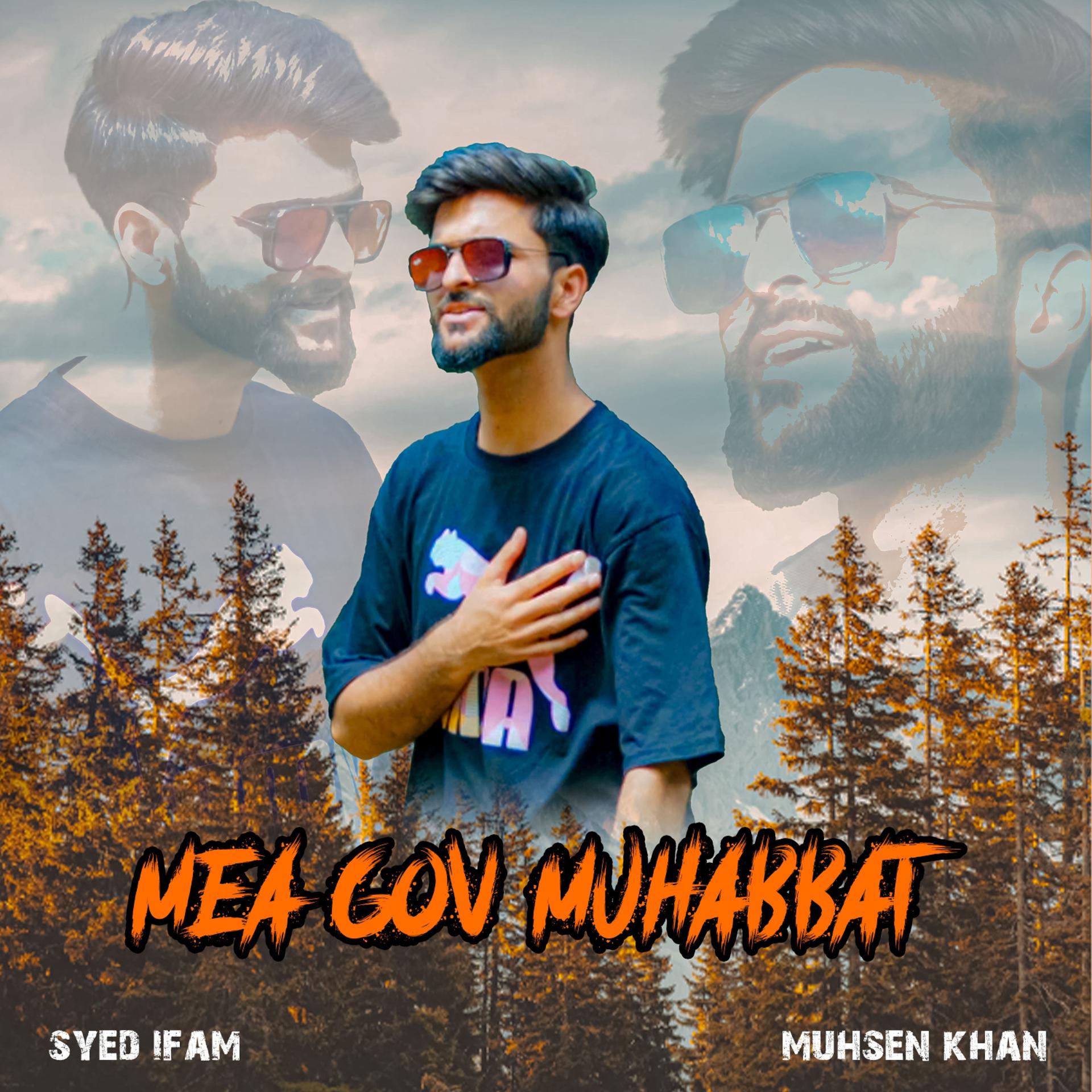 Постер альбома Mea Gov Muhabbat