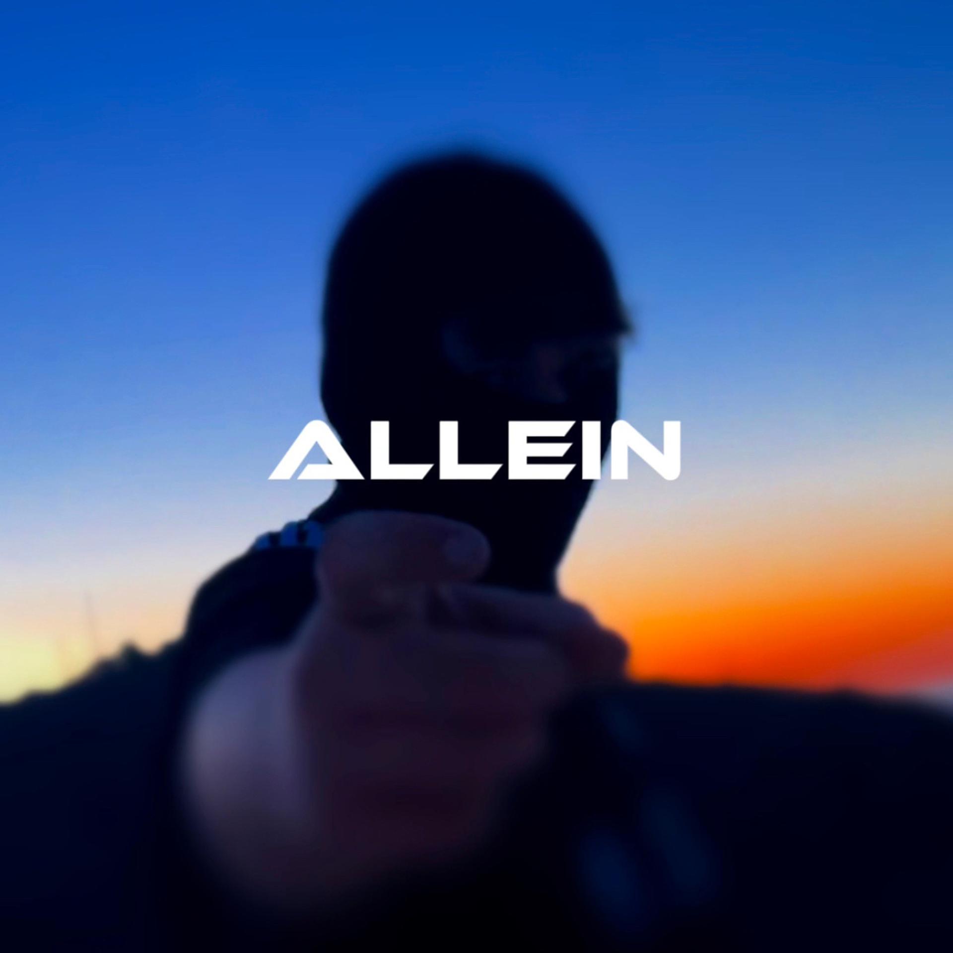 Постер альбома Allein