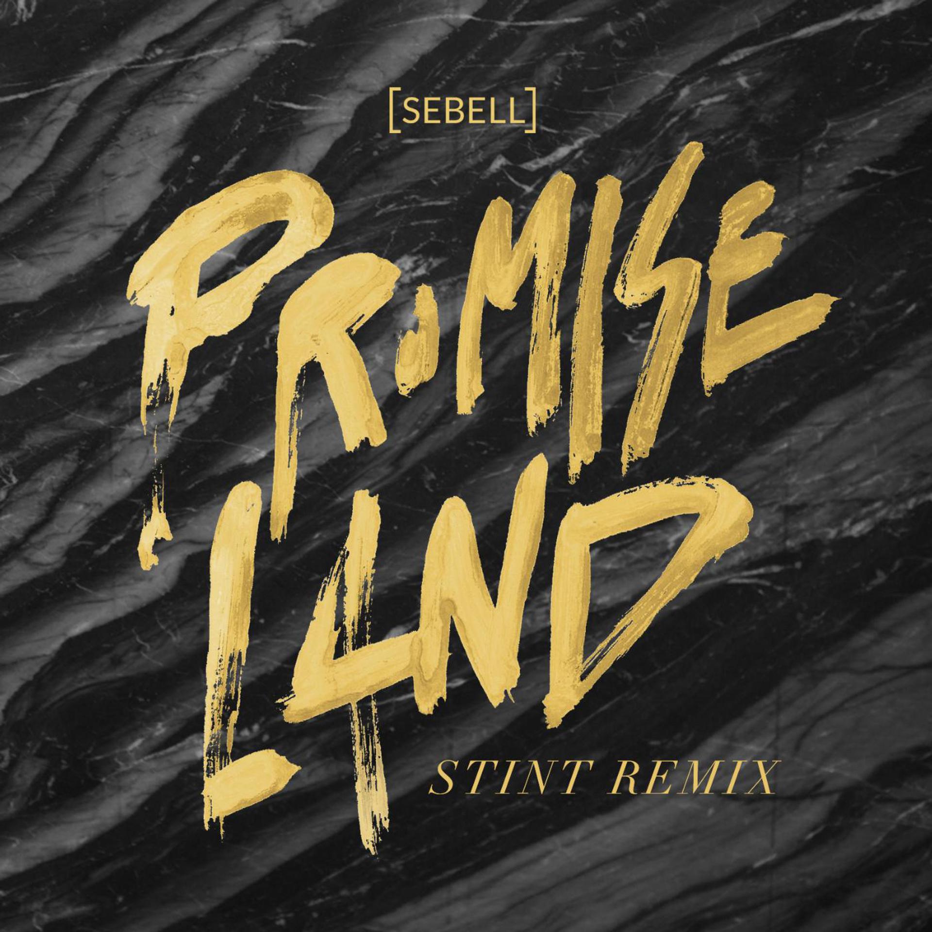 Постер альбома Promiseland (Stint Remix)