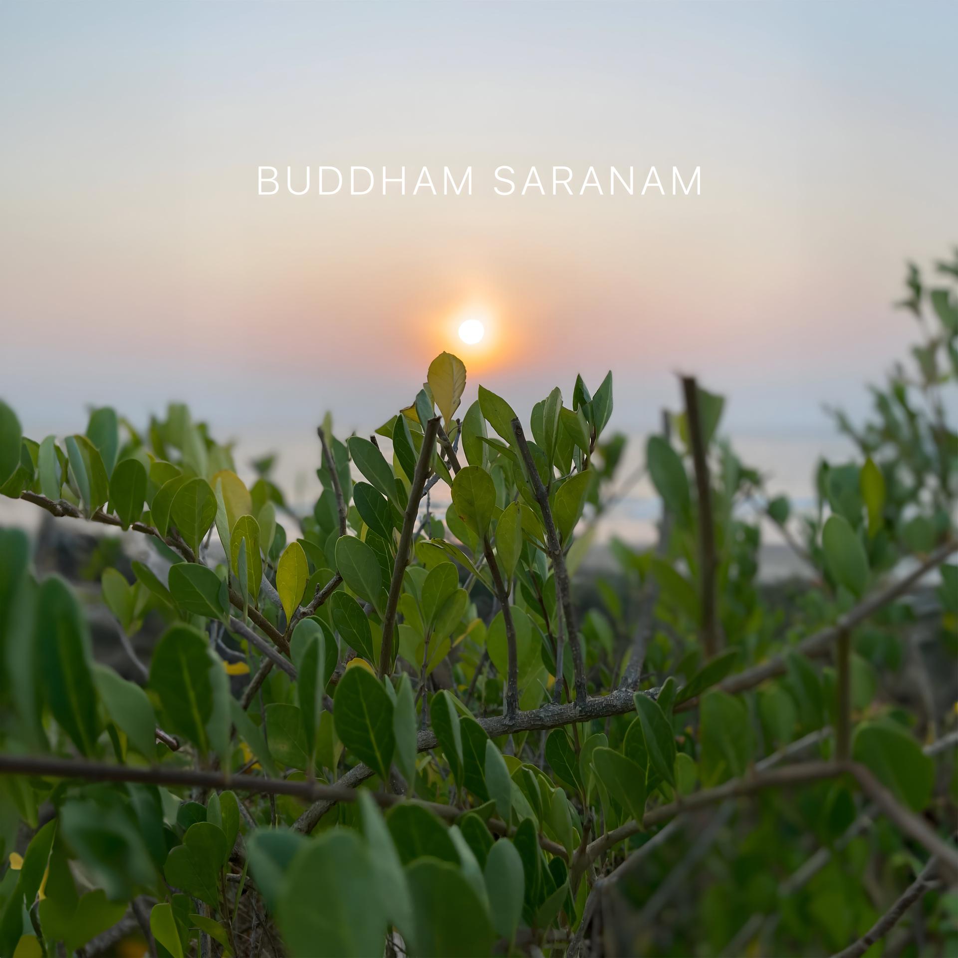 Постер альбома Buddham Saranam Gachhami