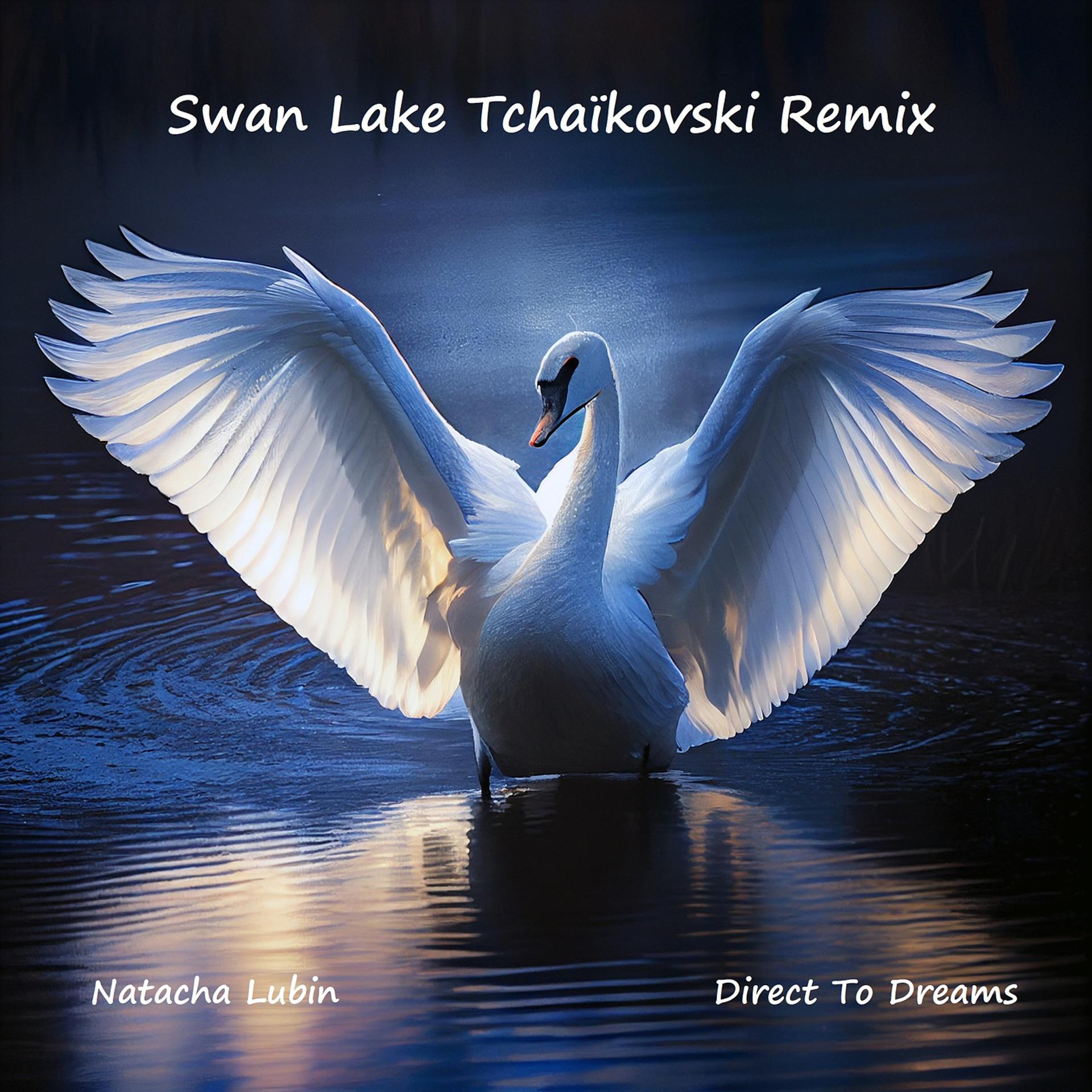 Постер альбома Swan Lake Tchaïkovski (Remix)