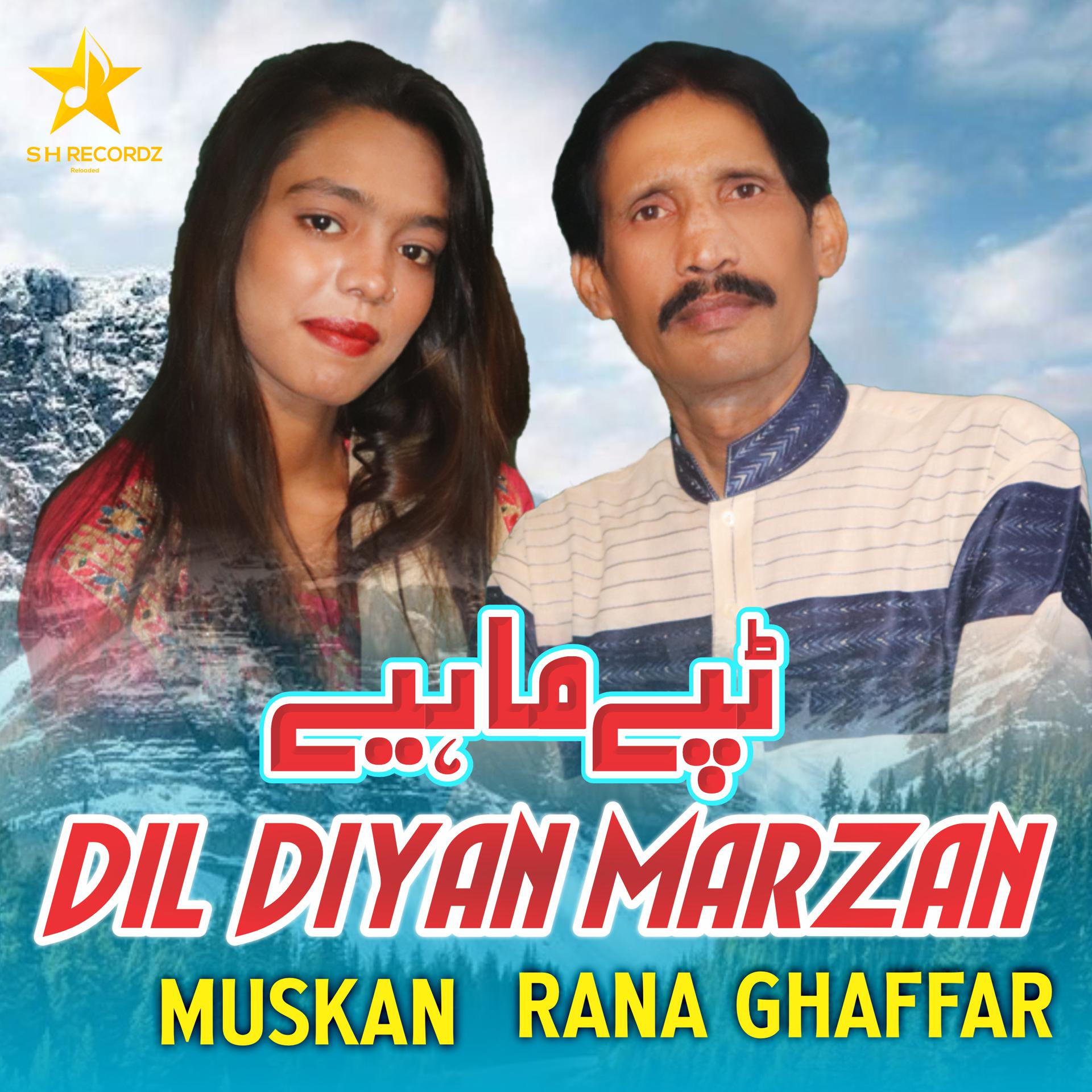 Постер альбома Dil Diyan Marzan